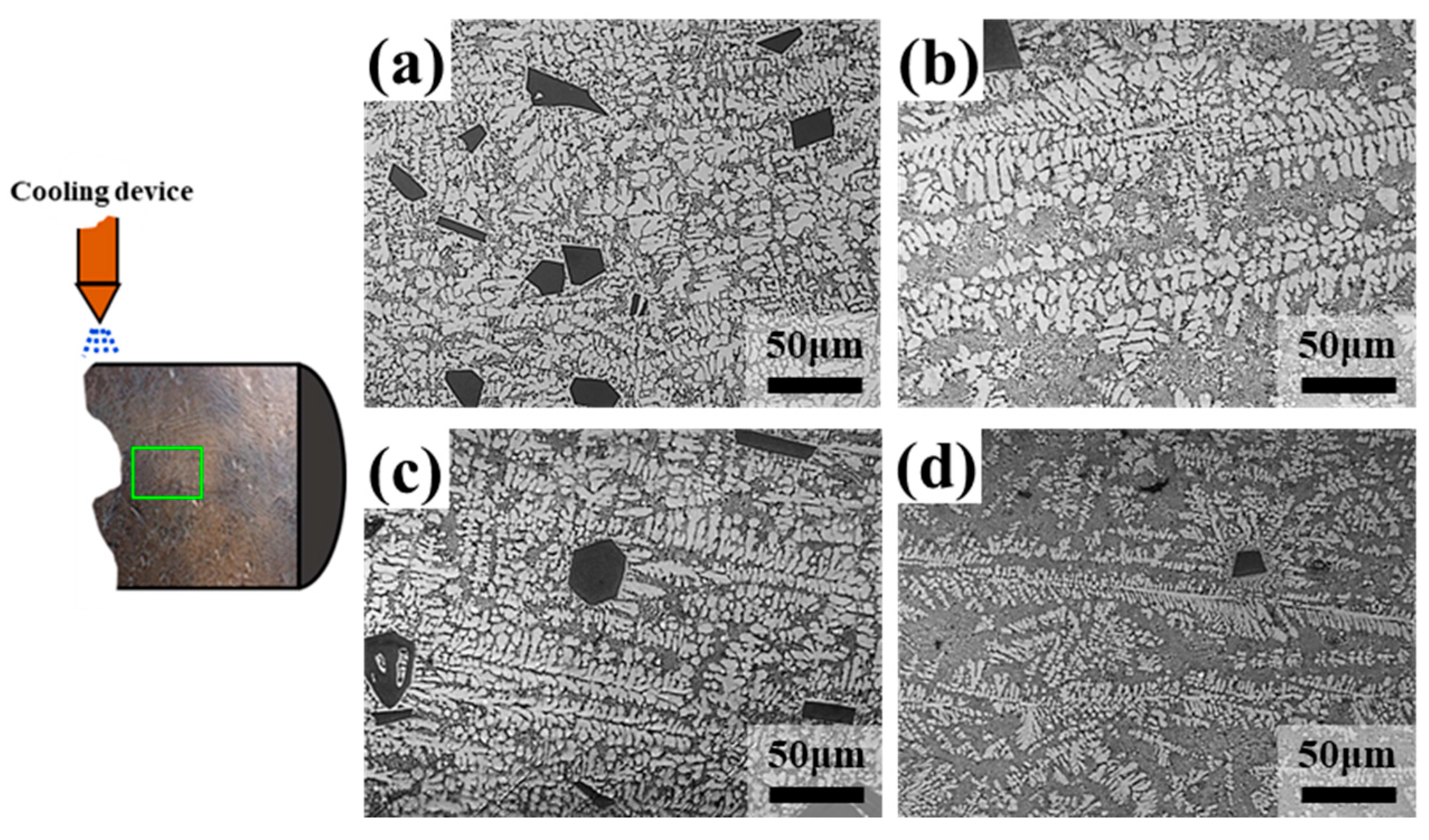Metals 10 00625 g005