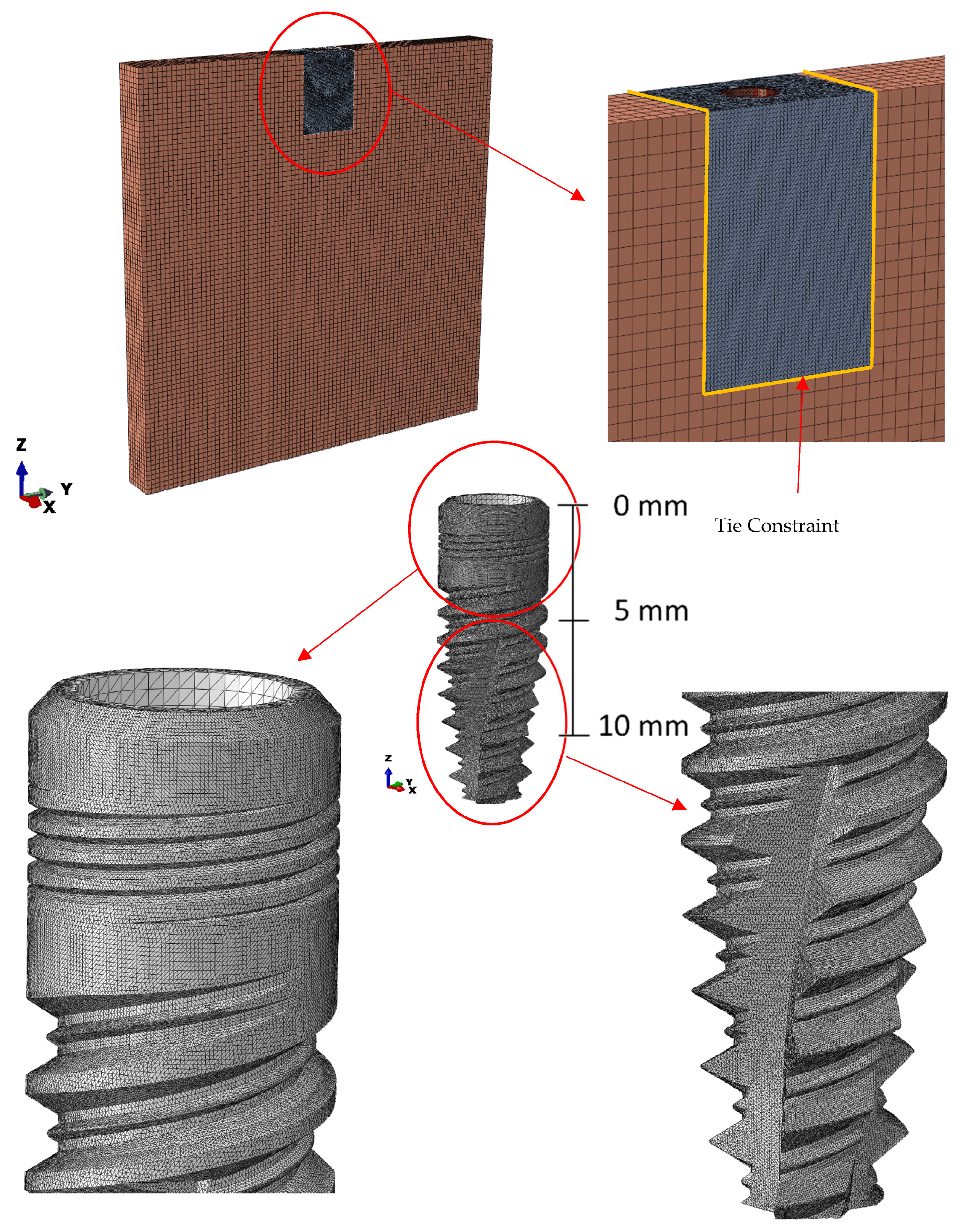 Metals 10 00648 g005