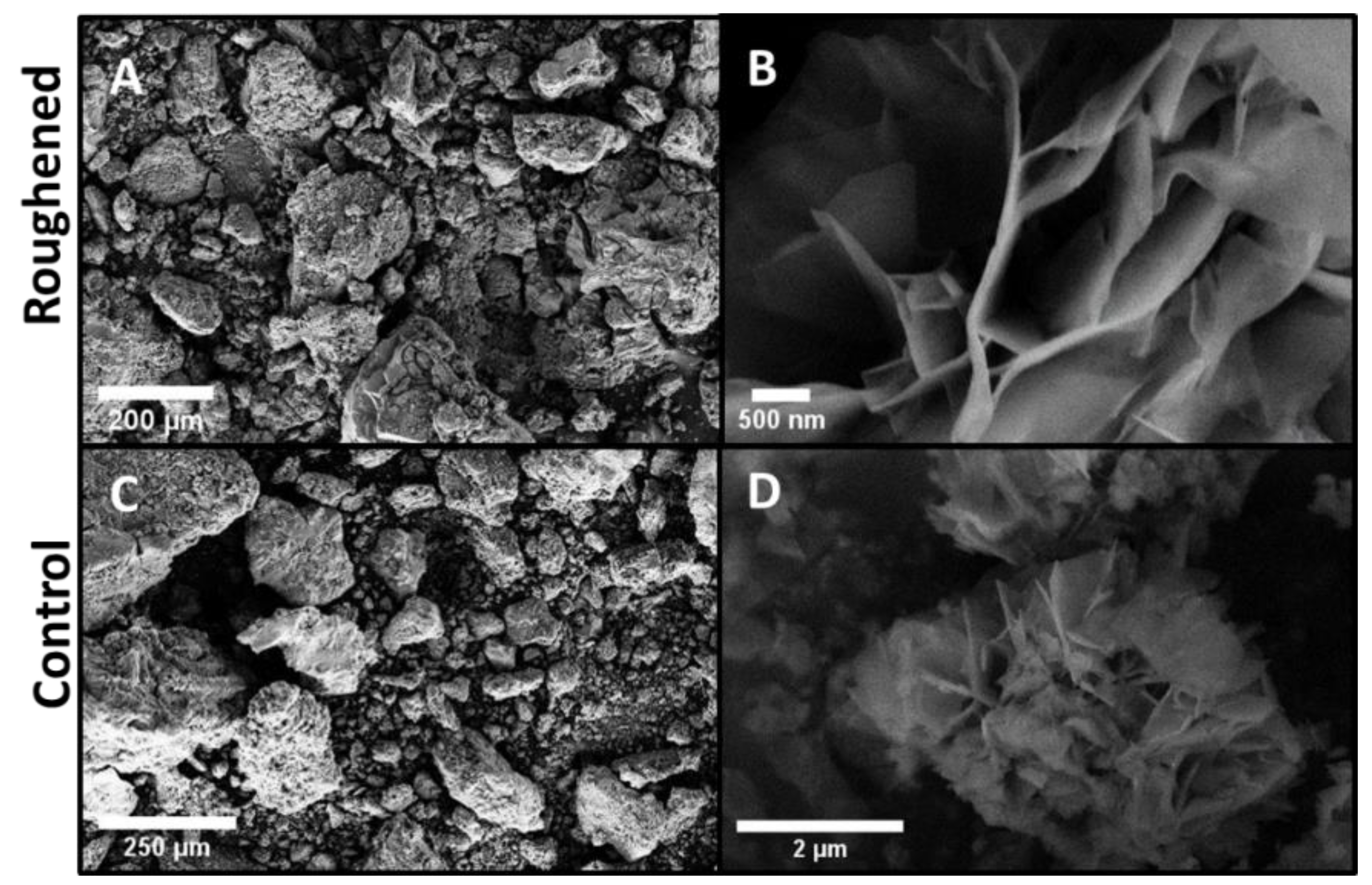 Metals 10 00651 g005