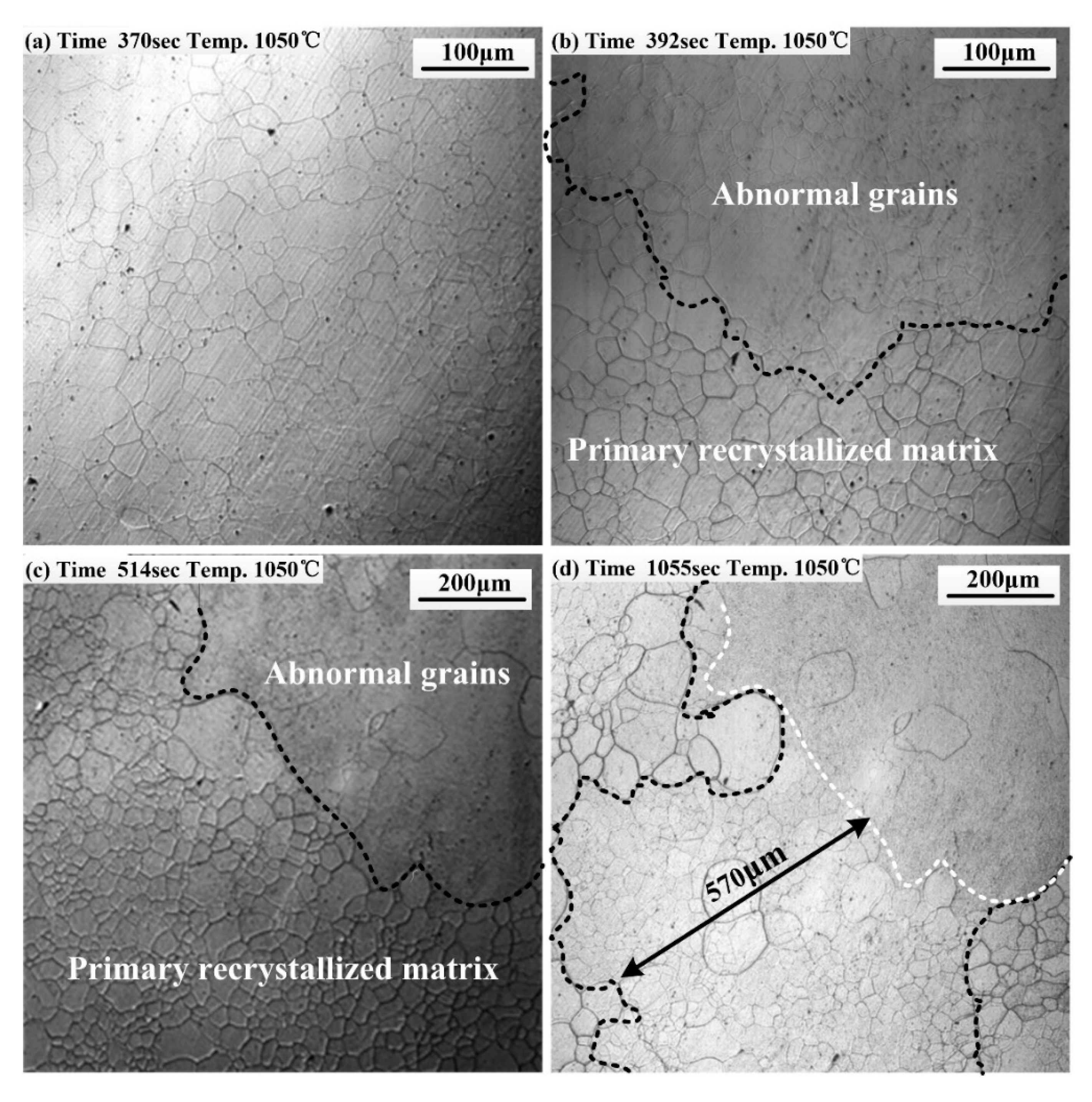 Metals 10 00660 g005