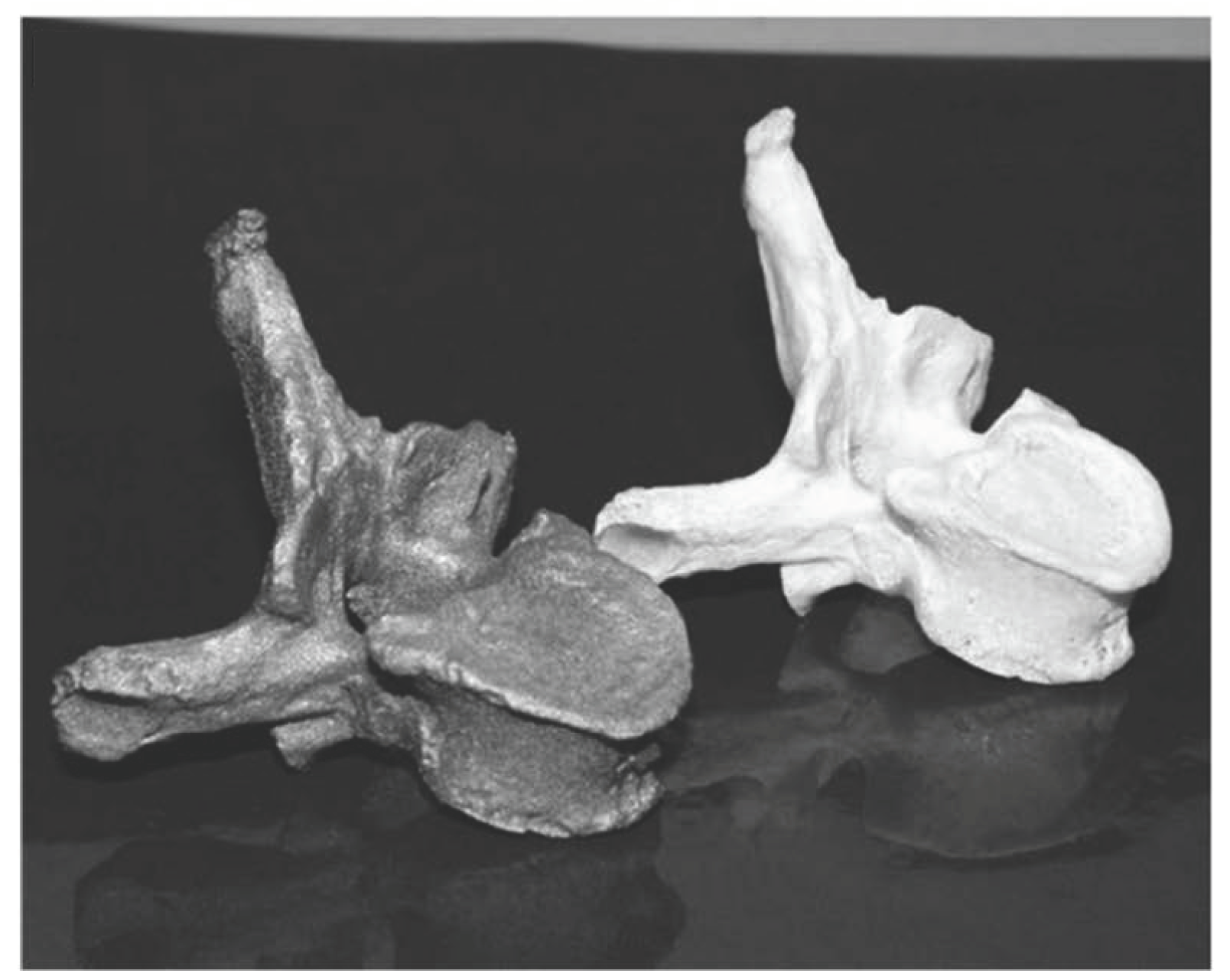 Metals 10 00686 g007