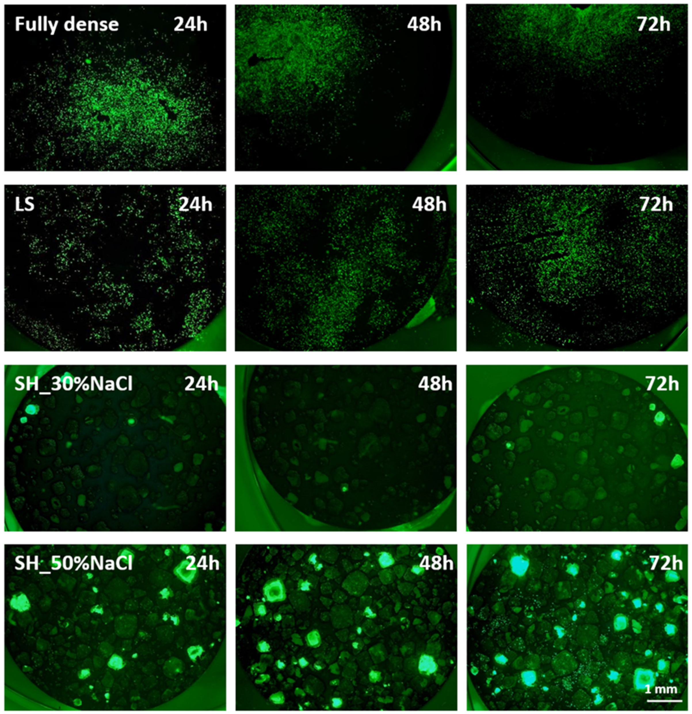 Metals 10 00696 g003