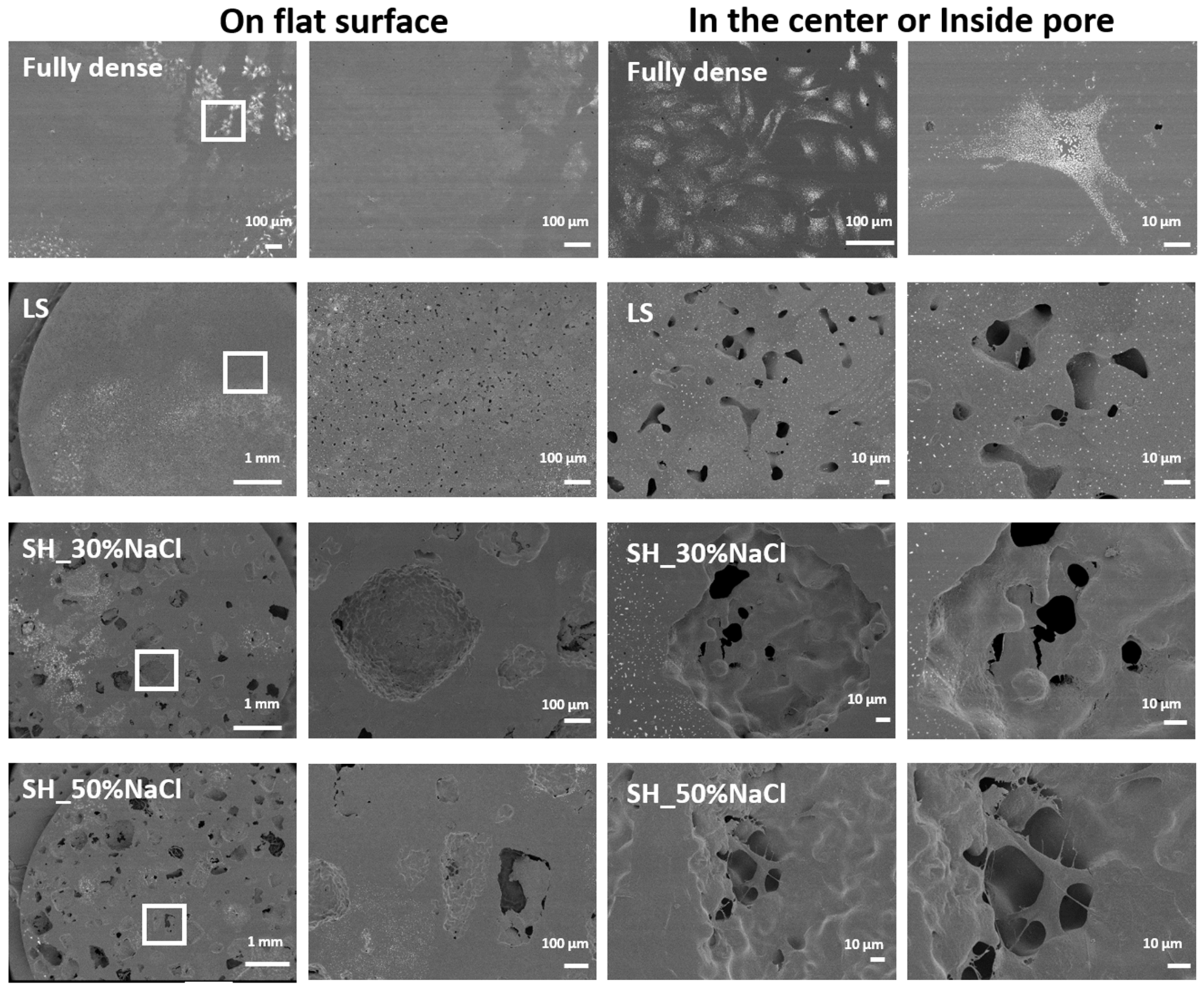 Metals 10 00696 g008