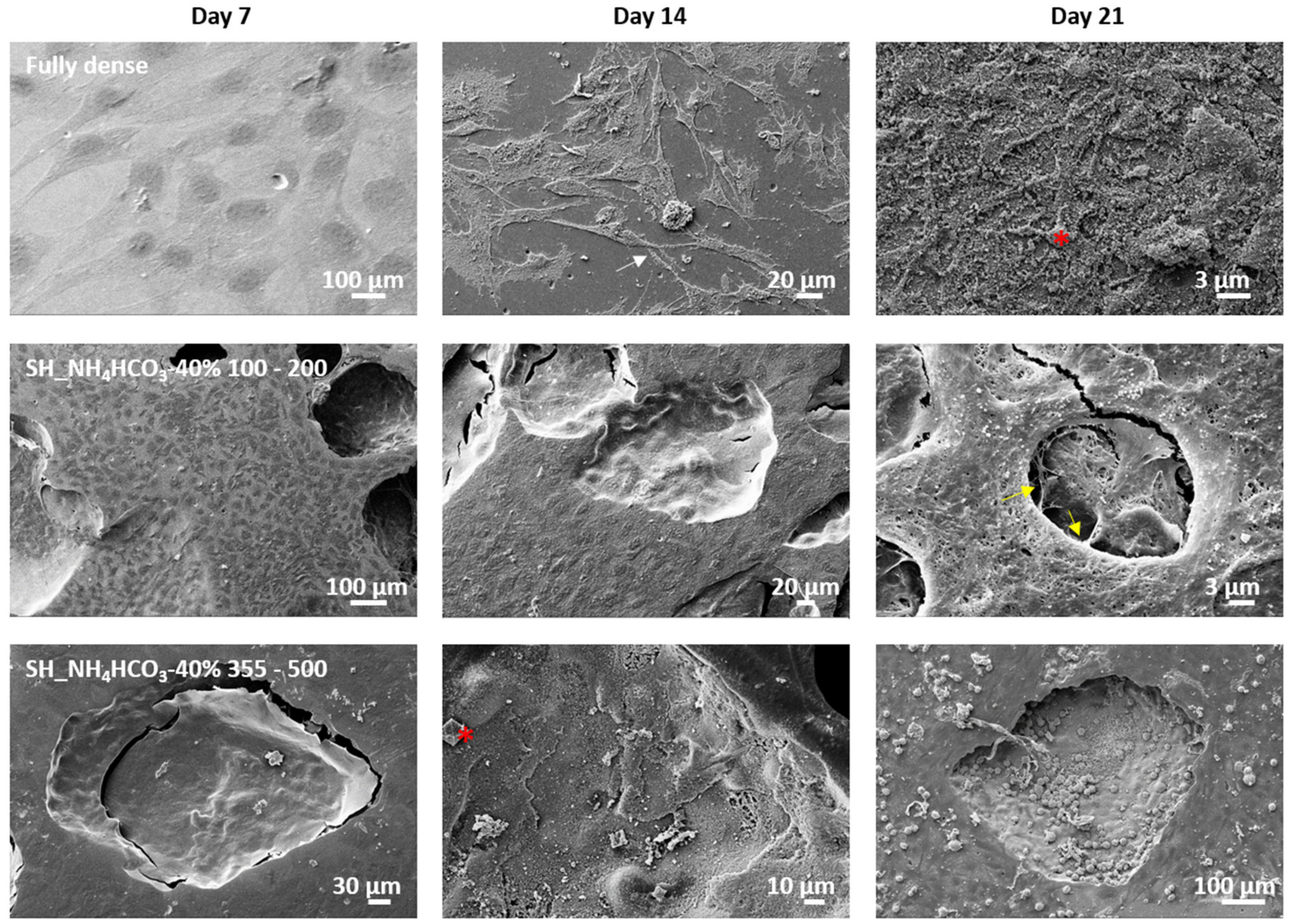 Metals 10 00696 g011