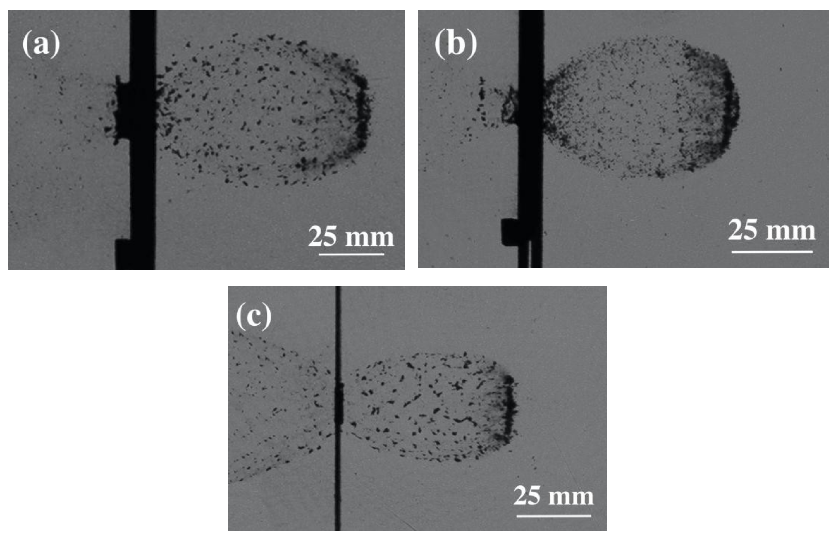 Metals 10 00697 g008