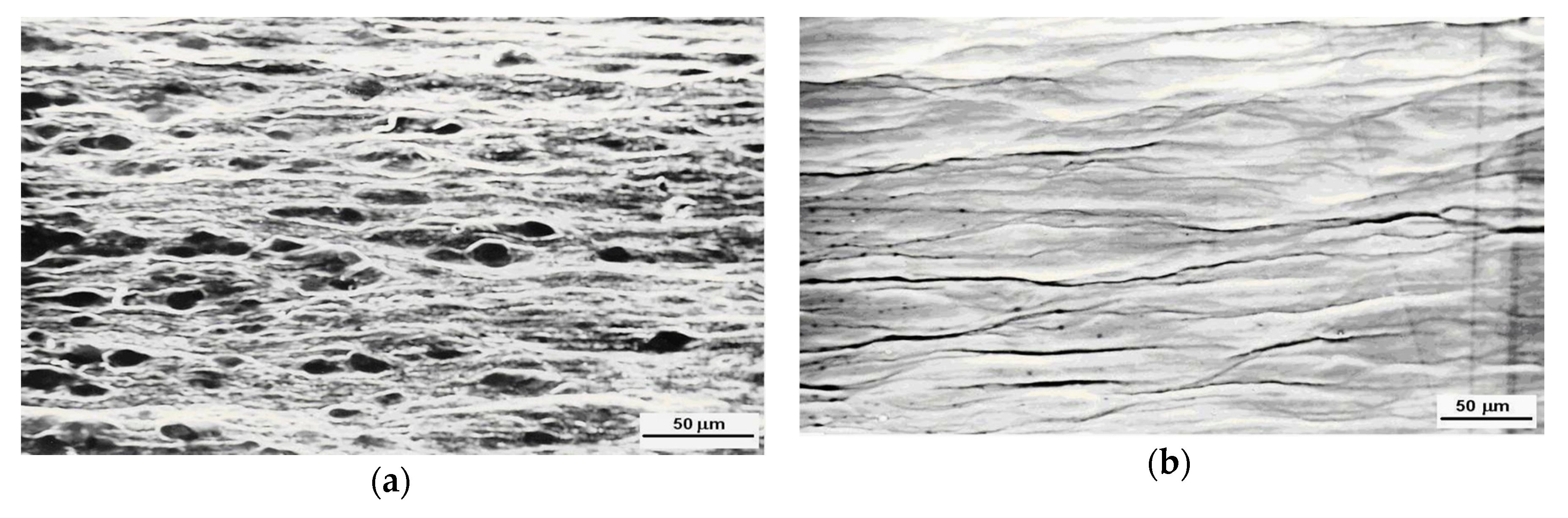 Metals 10 00709 g008