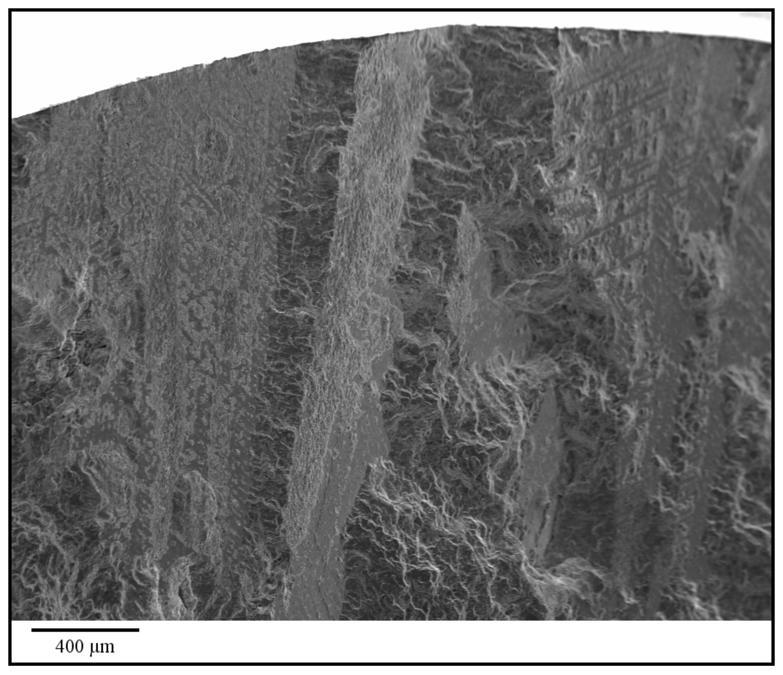 Metals 10 00710 g011