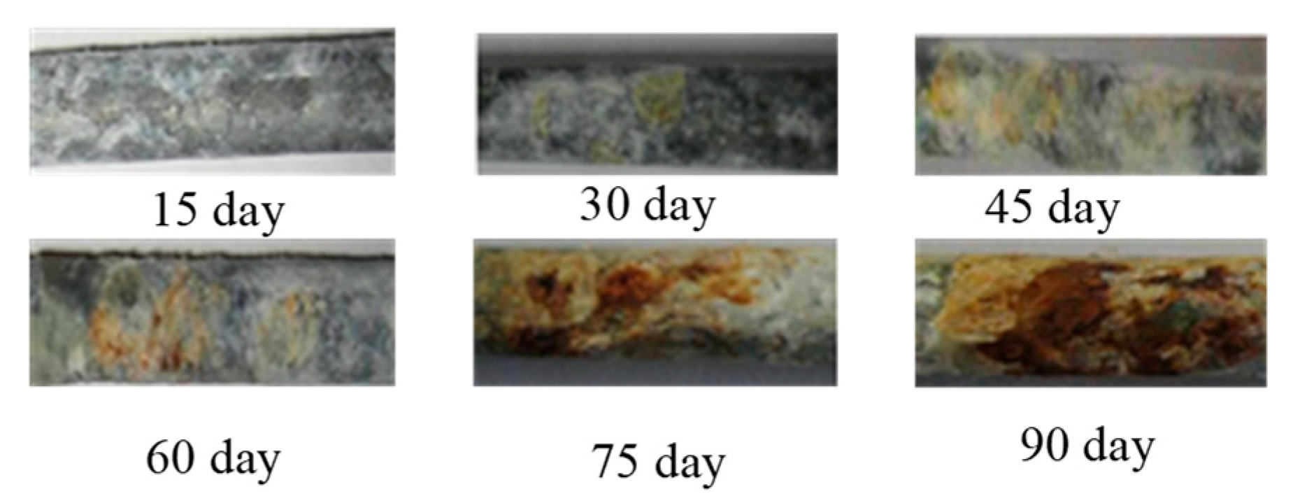 Metals 10 00734 g003