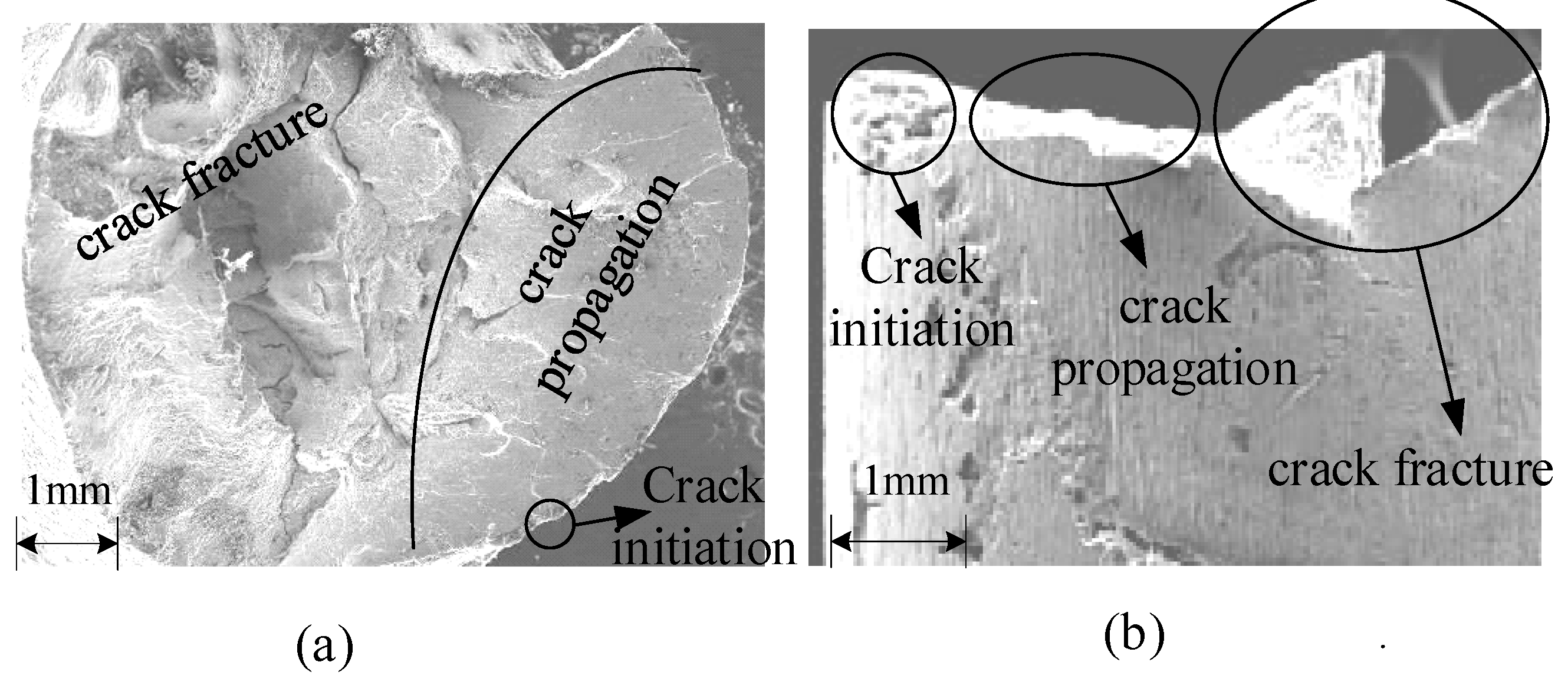 Metals 10 00734 g006