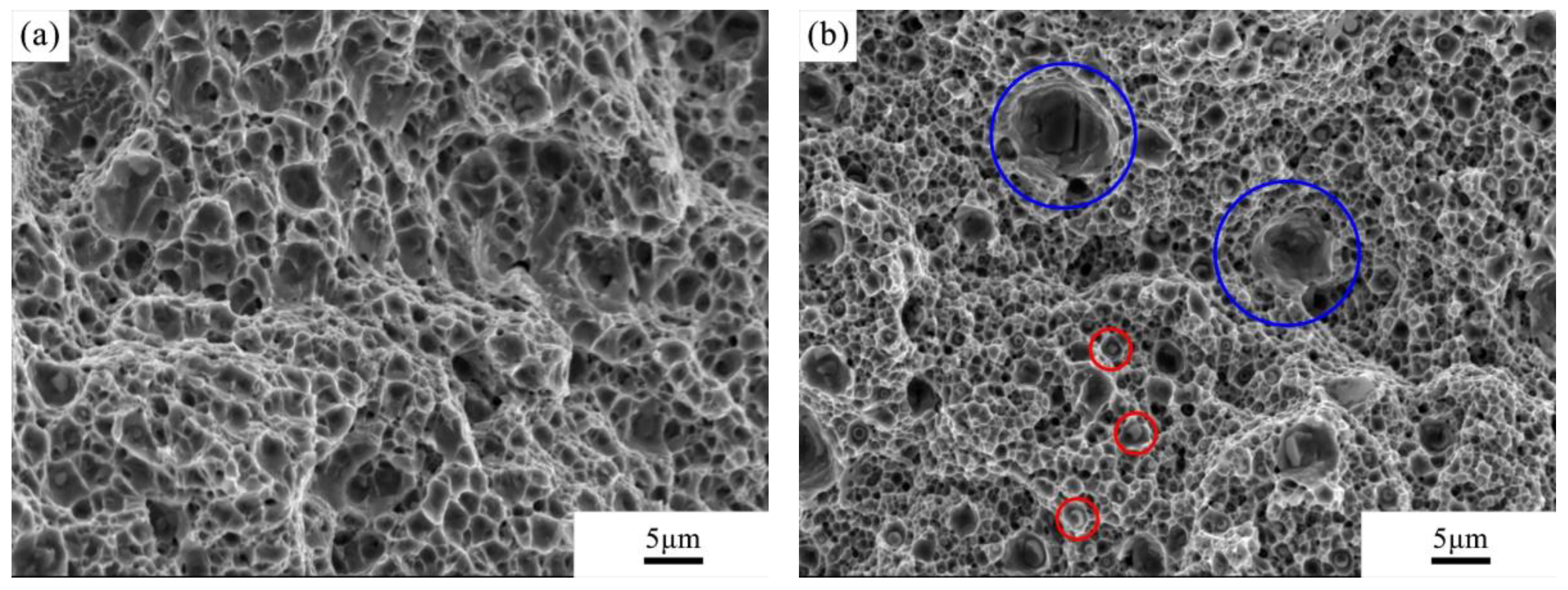 Metals 10 00736 g008