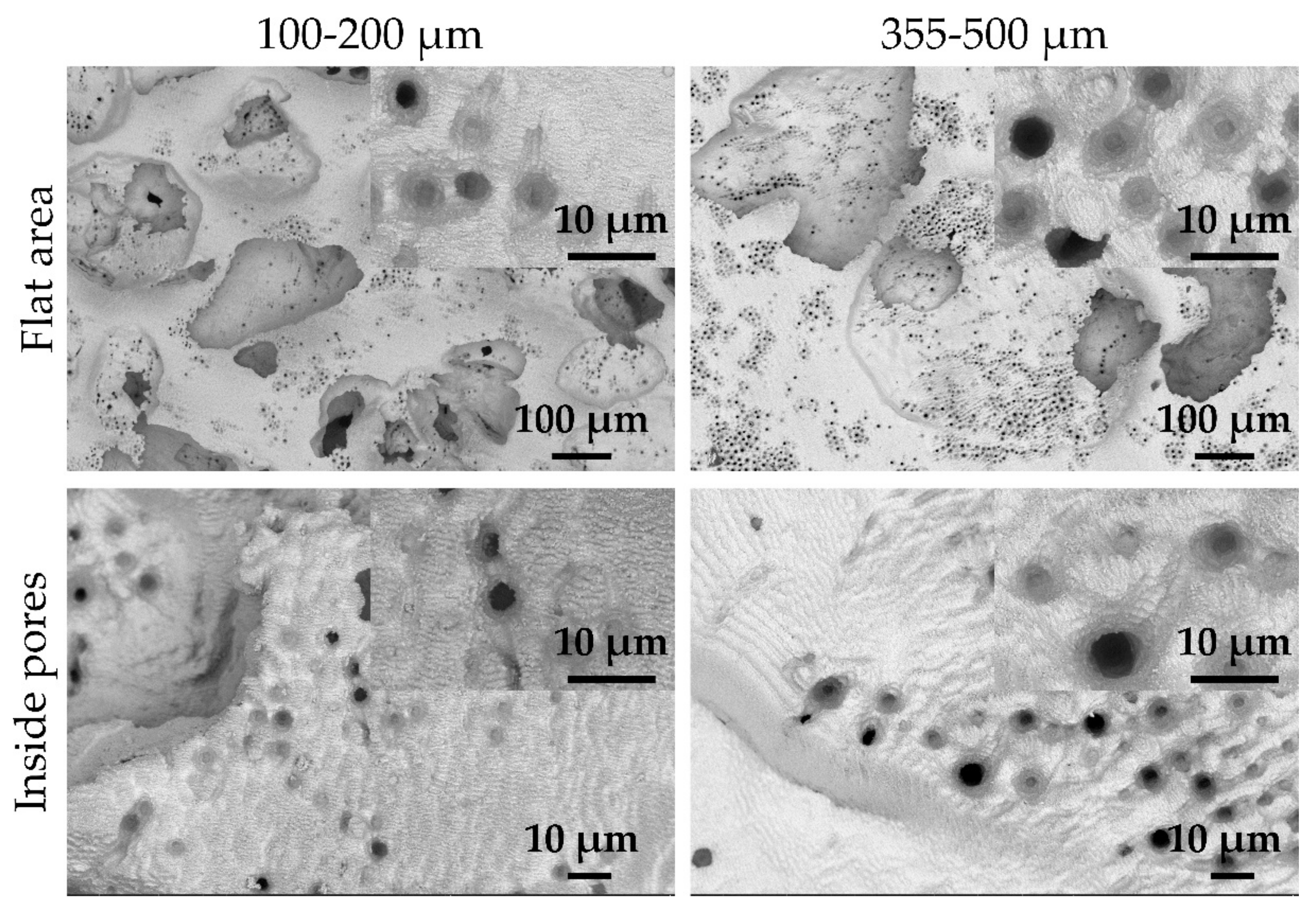 Metals 10 00748 g004