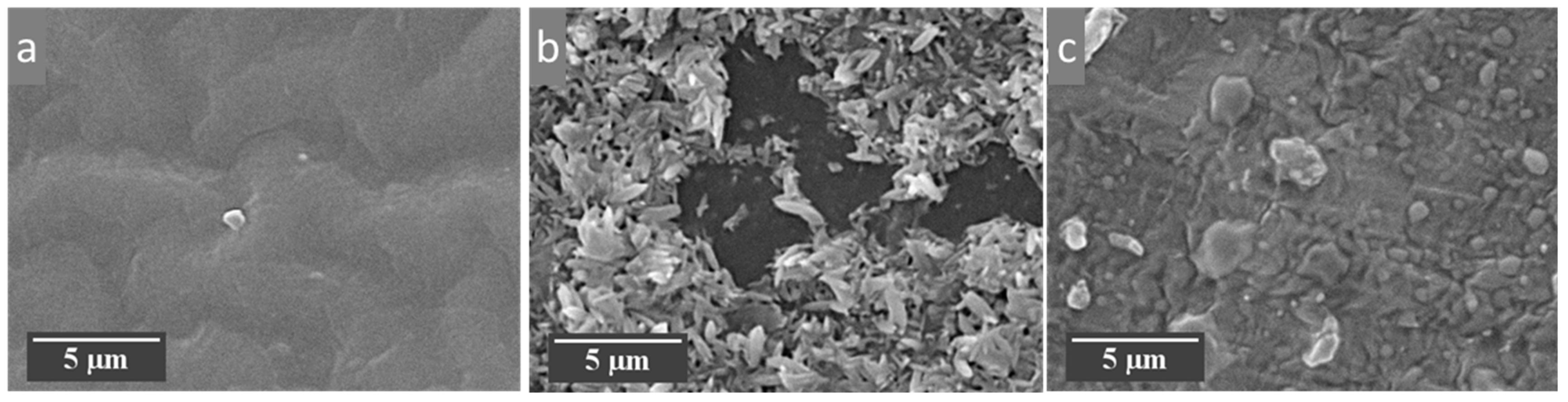 Metals 10 00773 g009