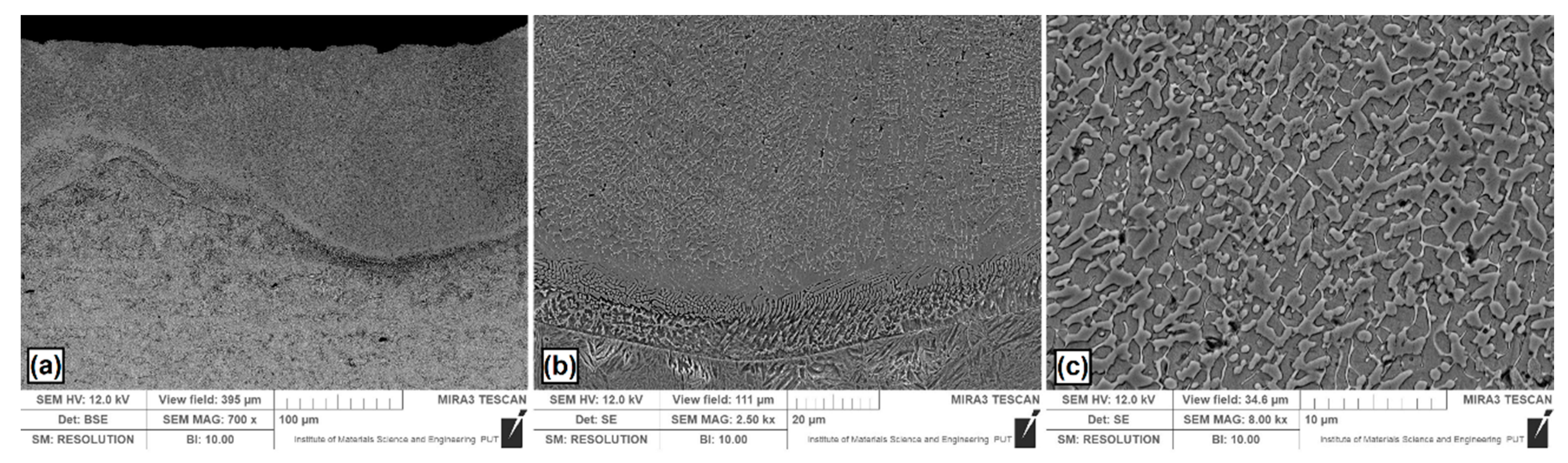 Metals 10 00792 g004