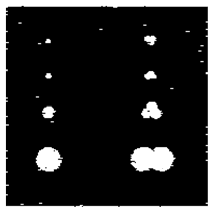 Metals 10 00796 i004