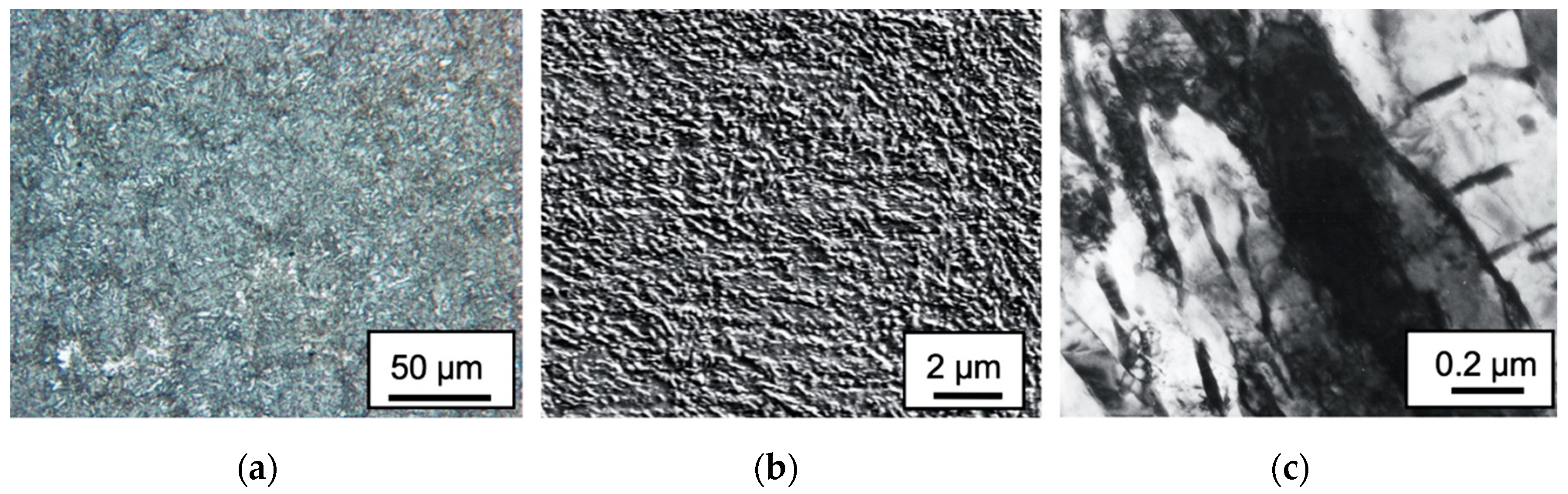 Metals 10 00798 g003