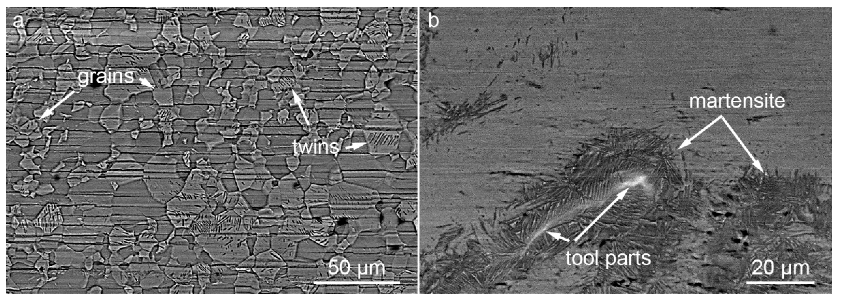 Metals 10 00799 g011