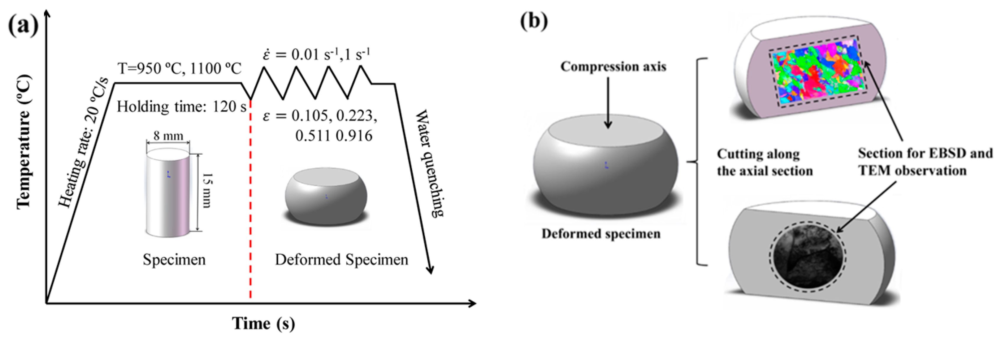 Metals 10 00817 g001
