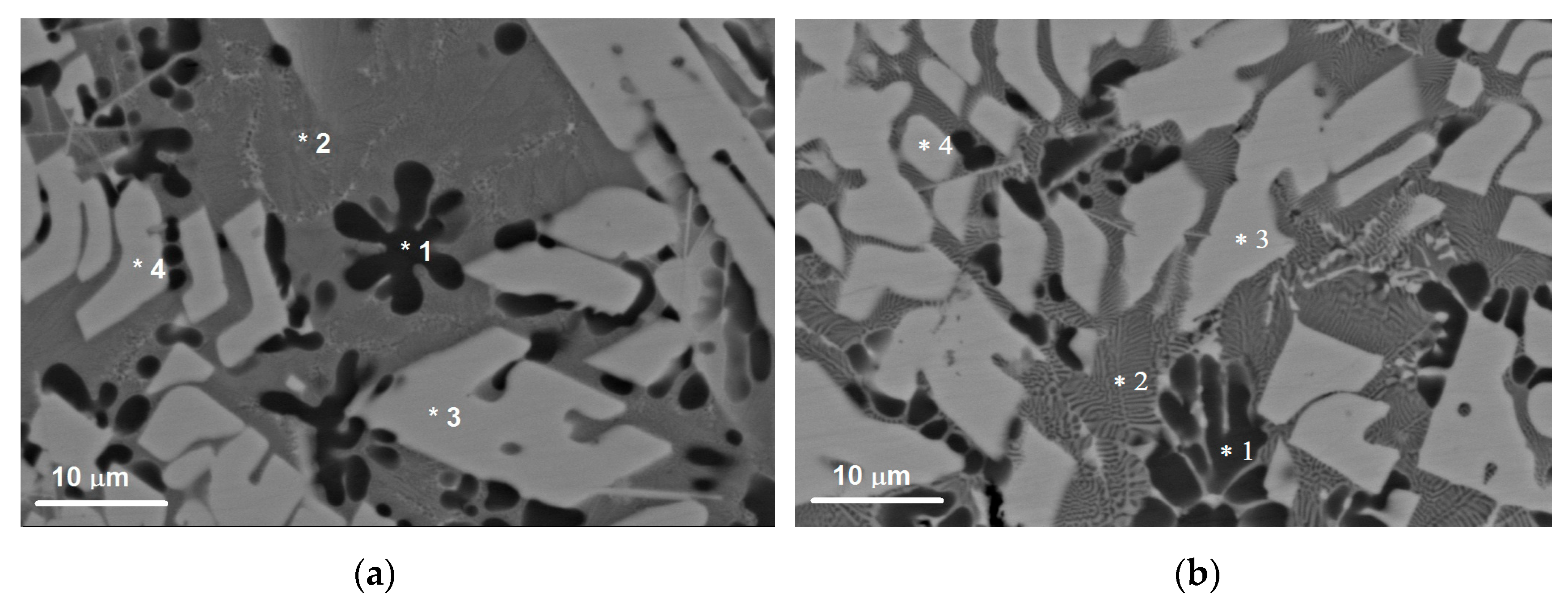 Metals 10 00818 g006