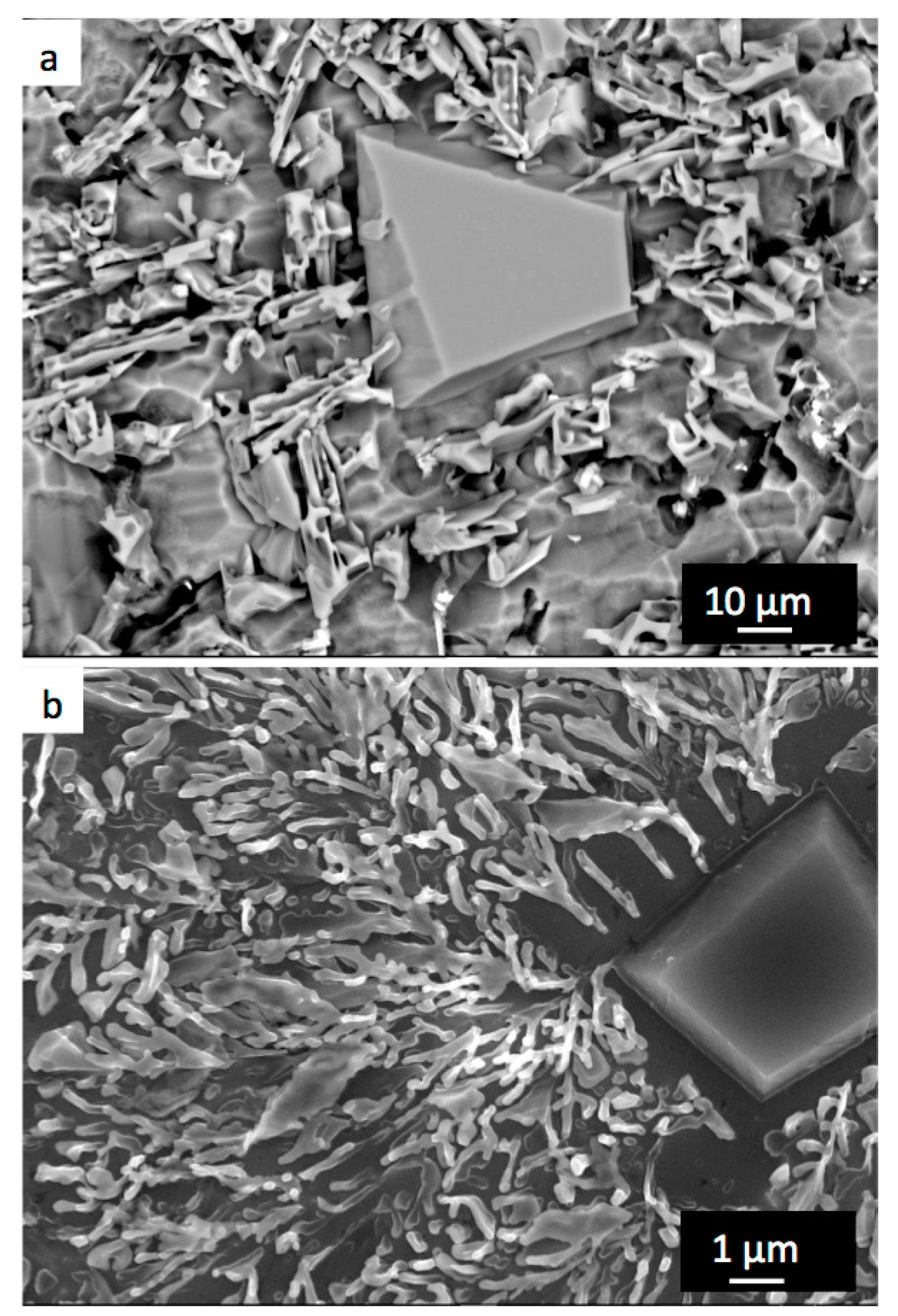 Metals 10 00819 g004