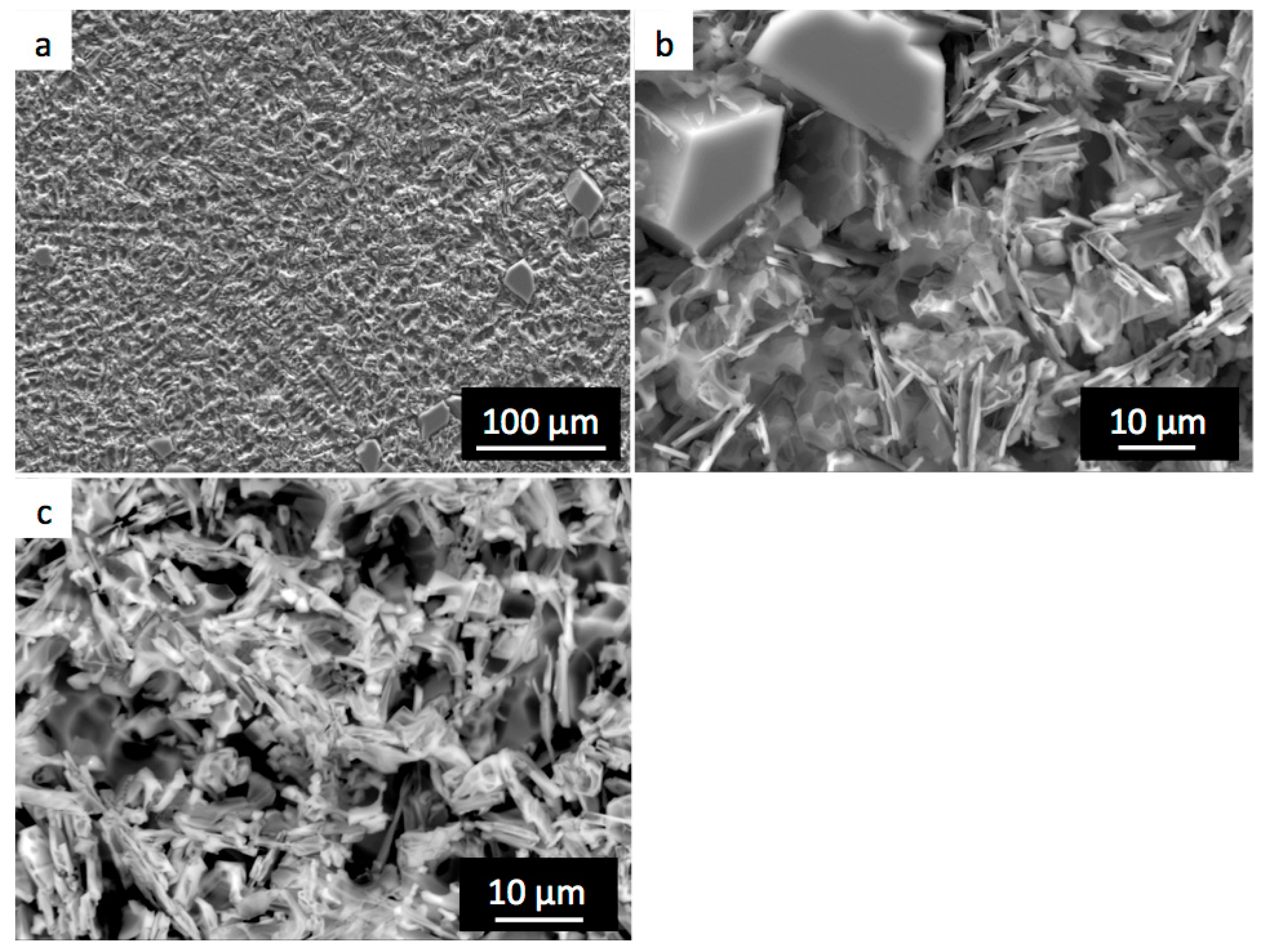 Metals 10 00819 g005