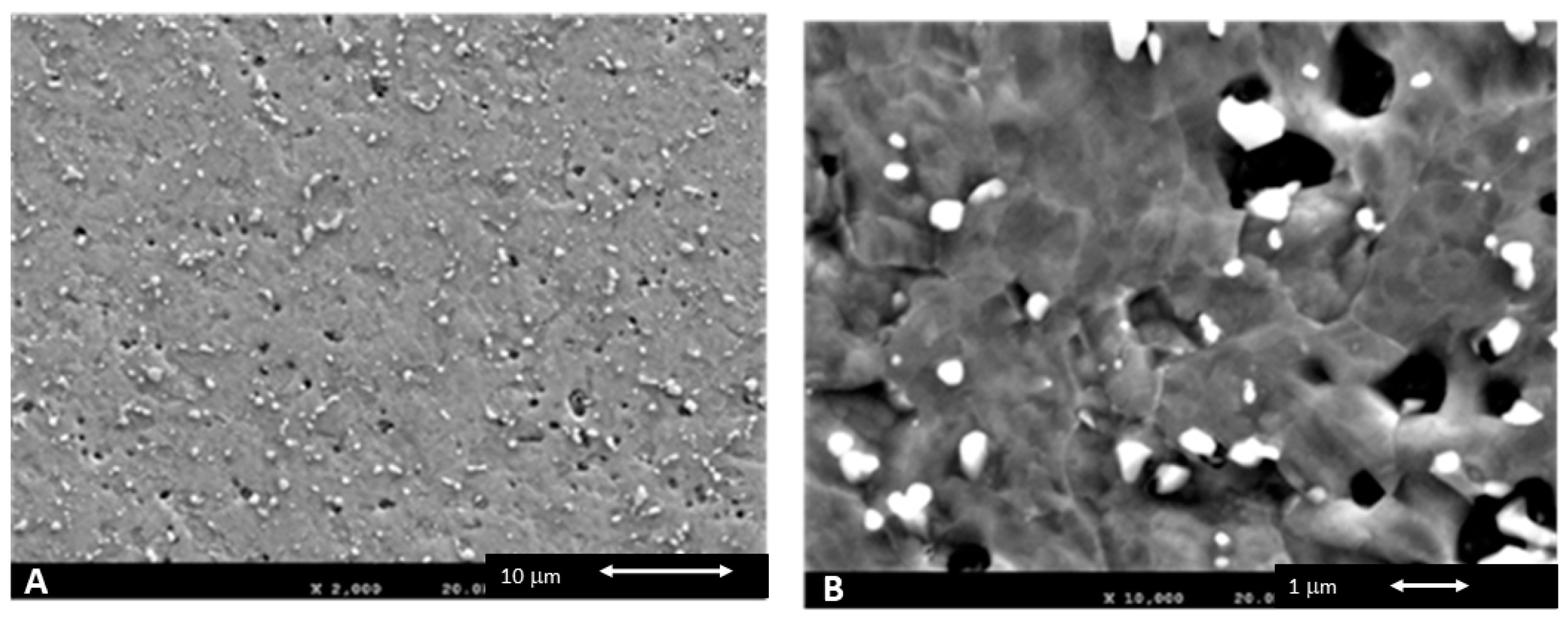 Metals 10 00827 g006