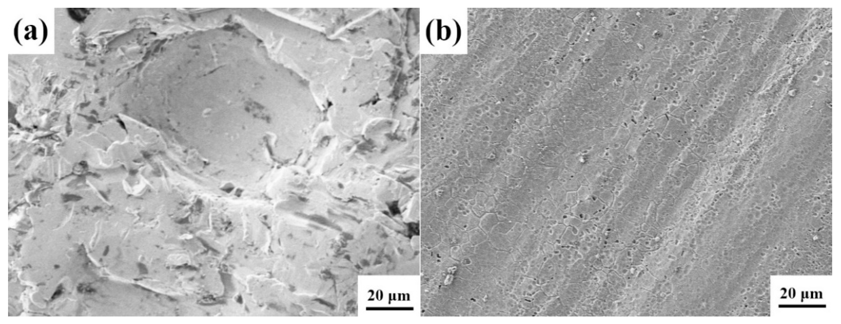 Metals 10 00831 g005