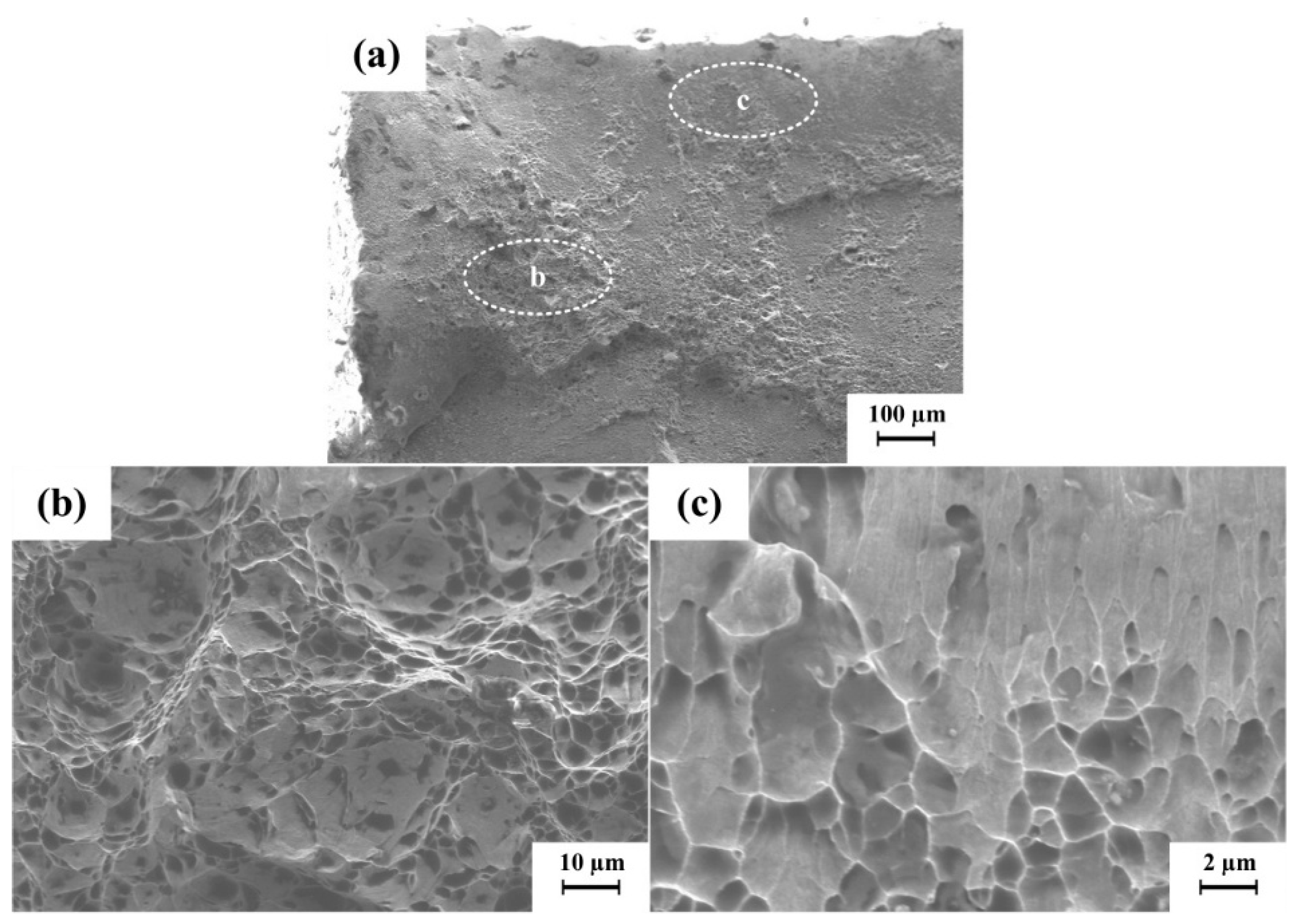 Metals 10 00831 g010