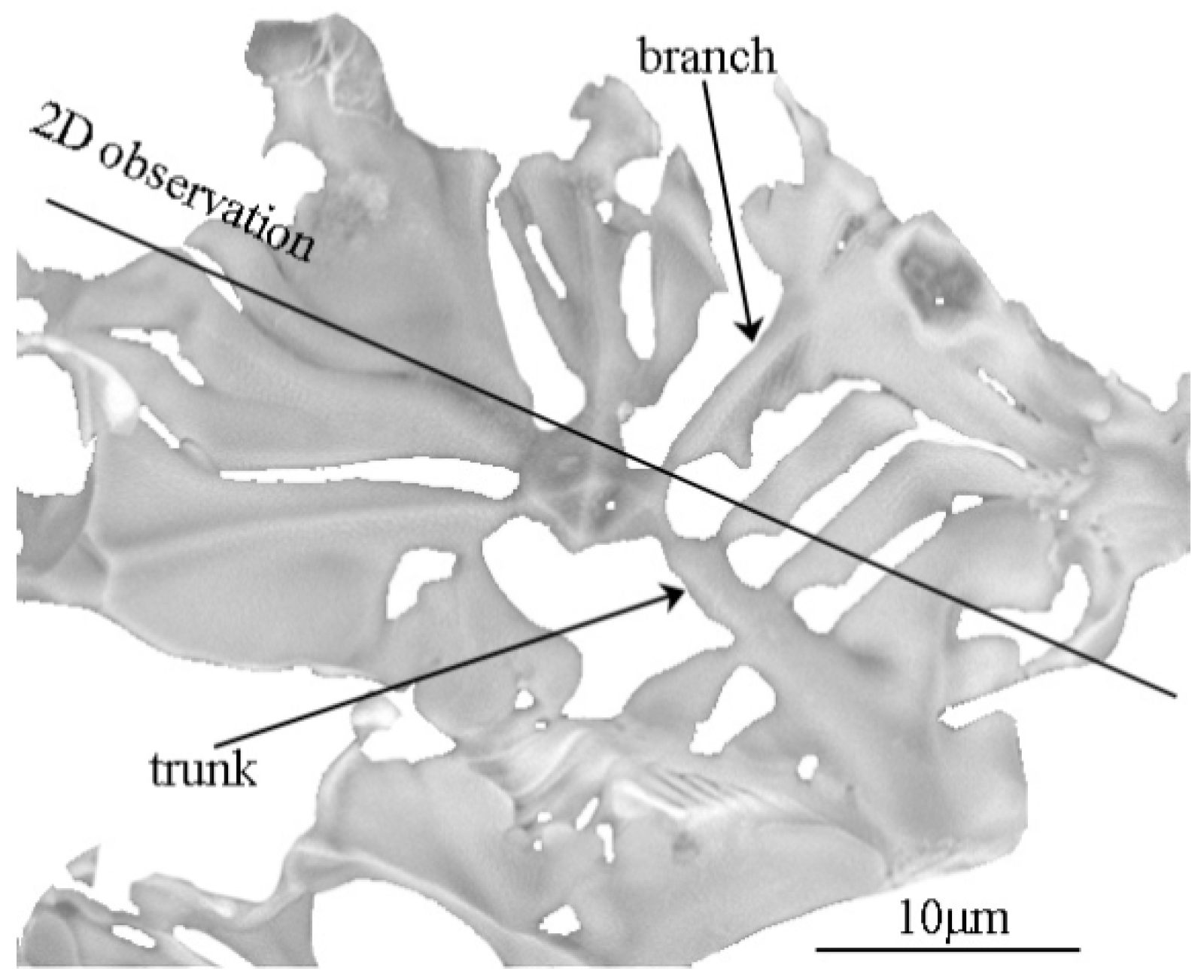 Metals 10 00837 g009