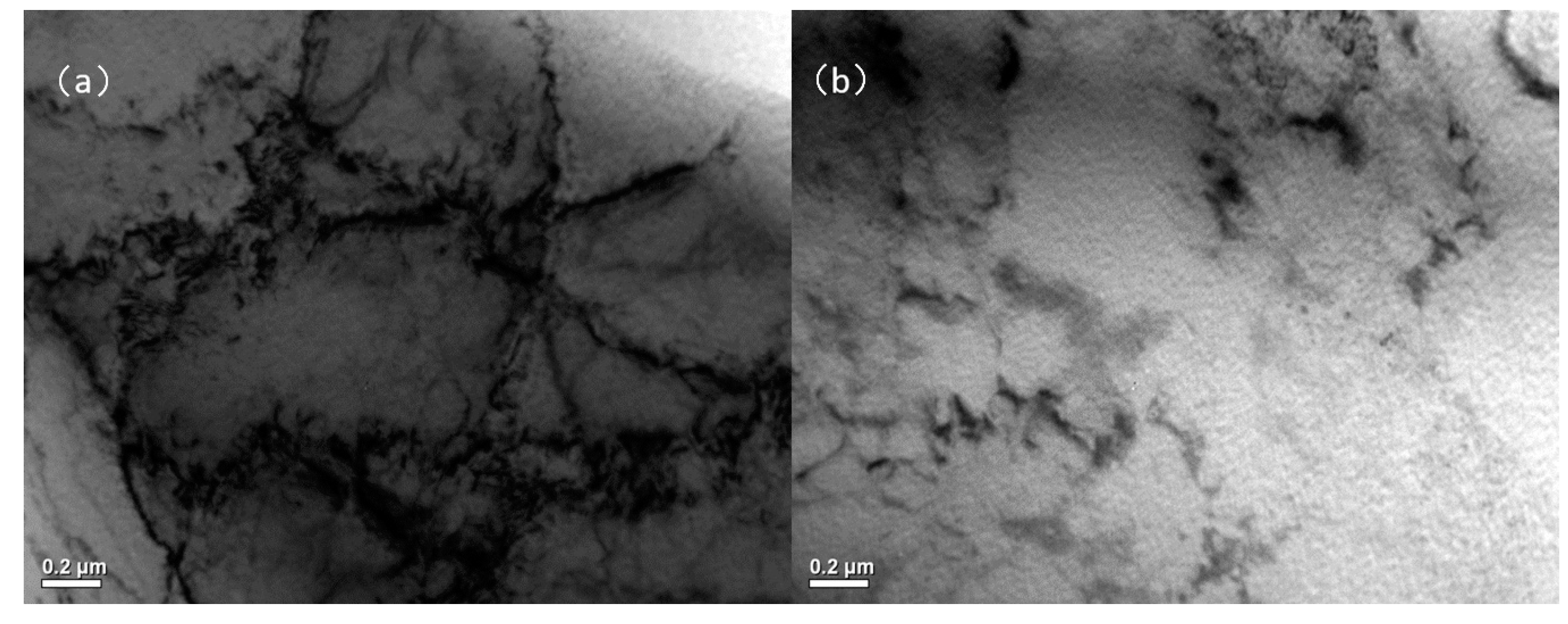 Metals 10 00838 g006