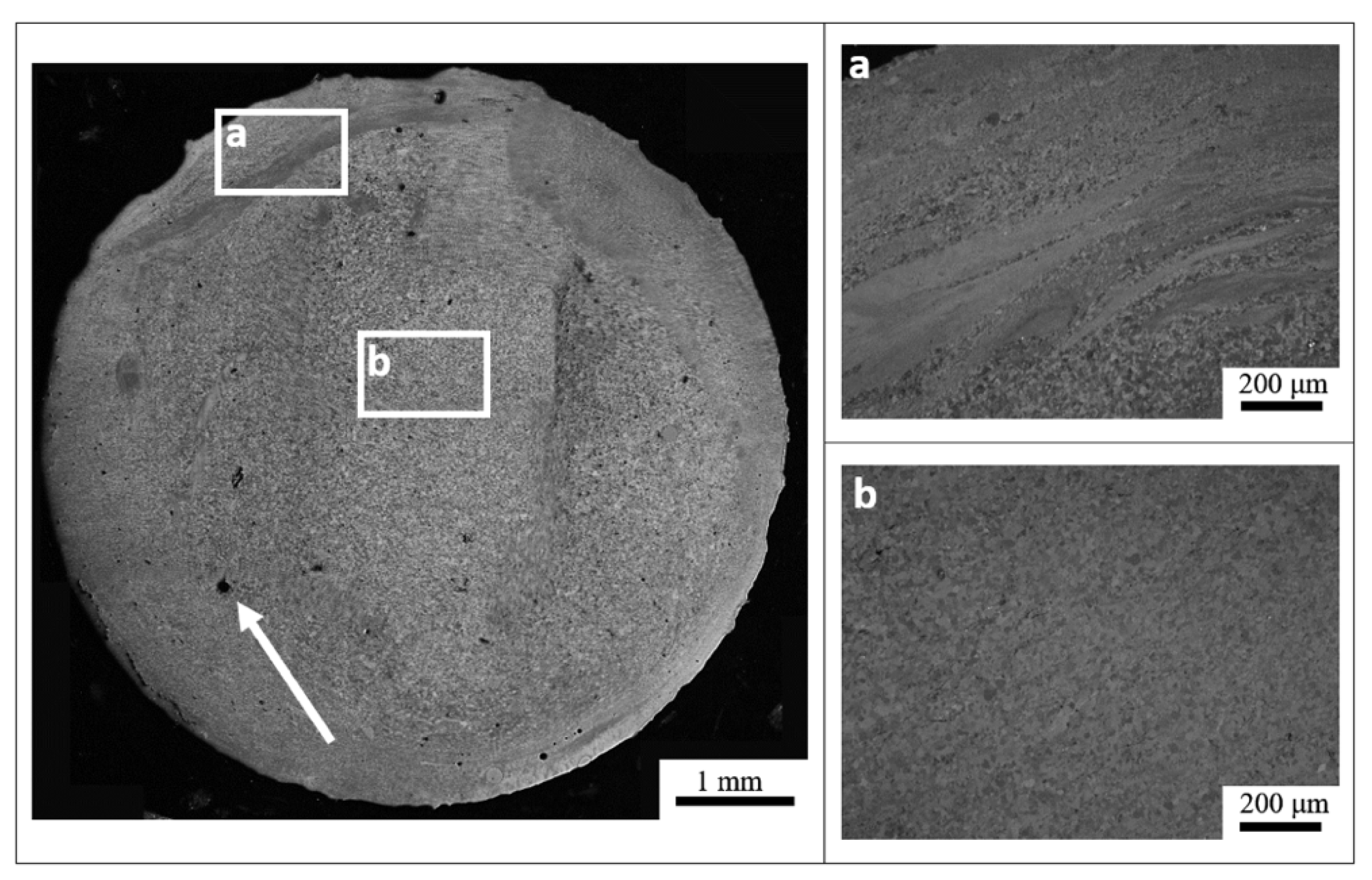 Metals 10 00843 g009