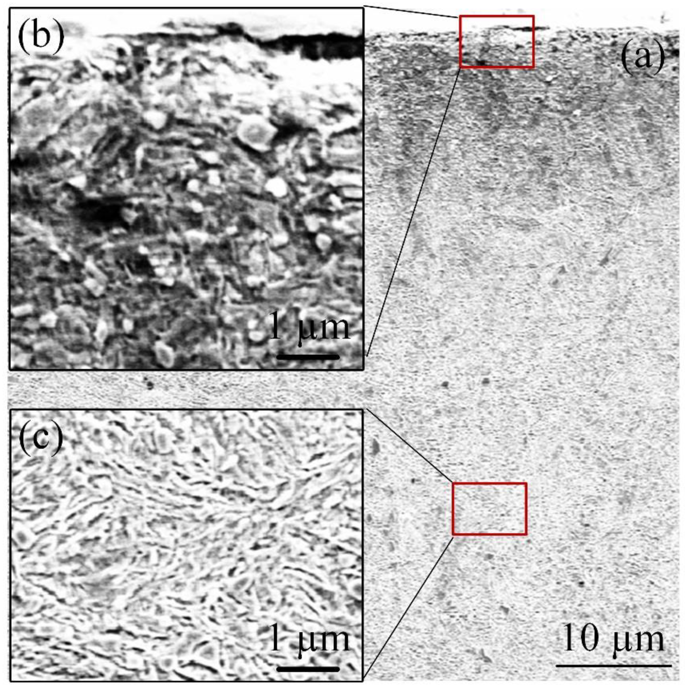 Metals 10 00844 g007