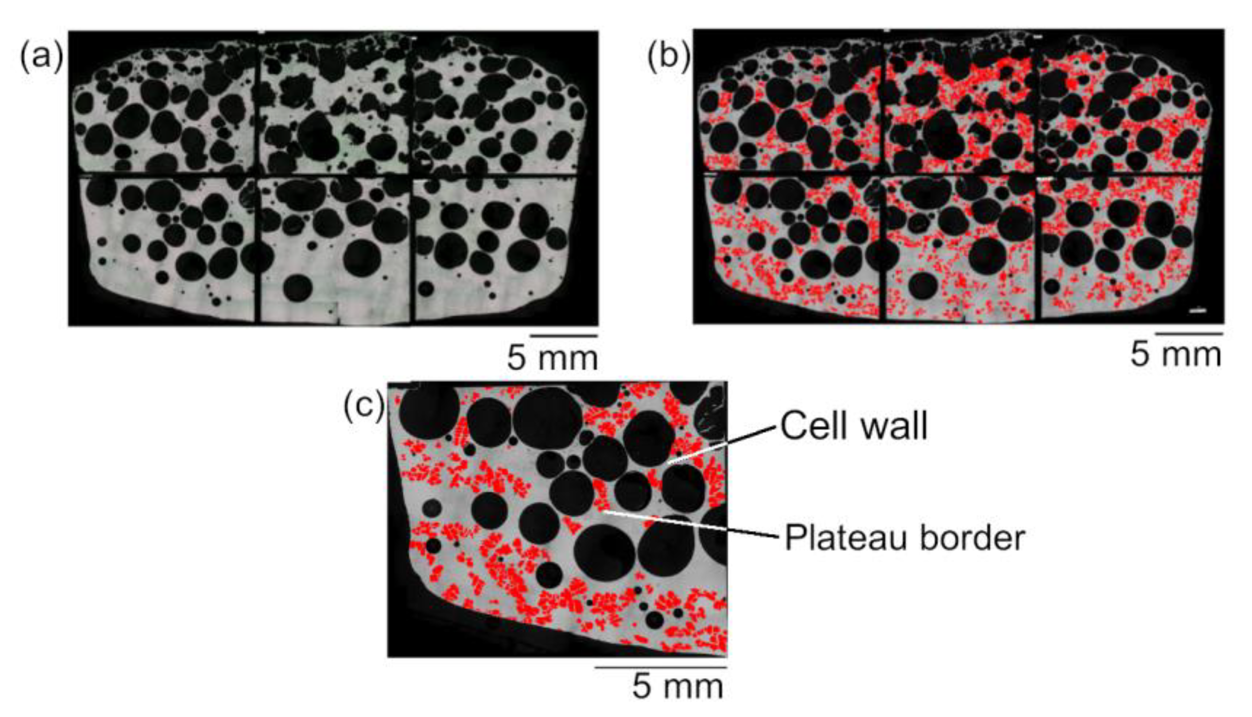 Metals 10 00847 g007
