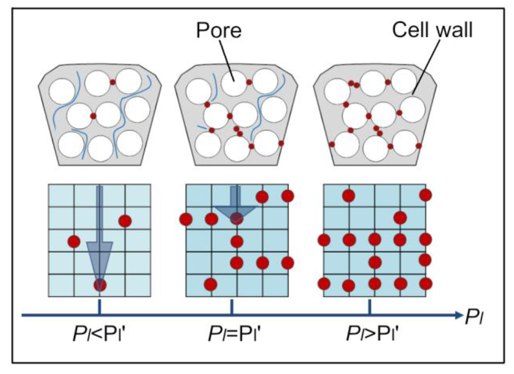 Metals 10 00847 g012