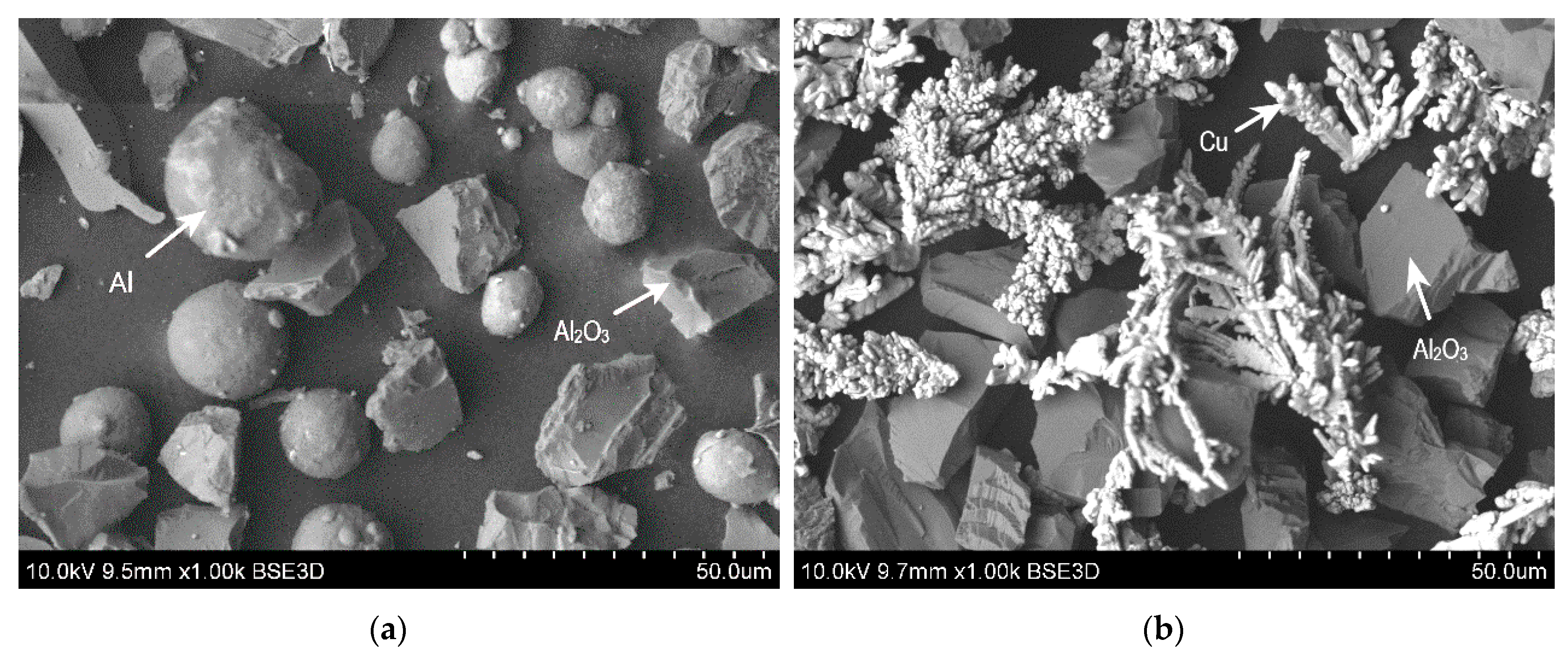 Metals 10 00856 g001