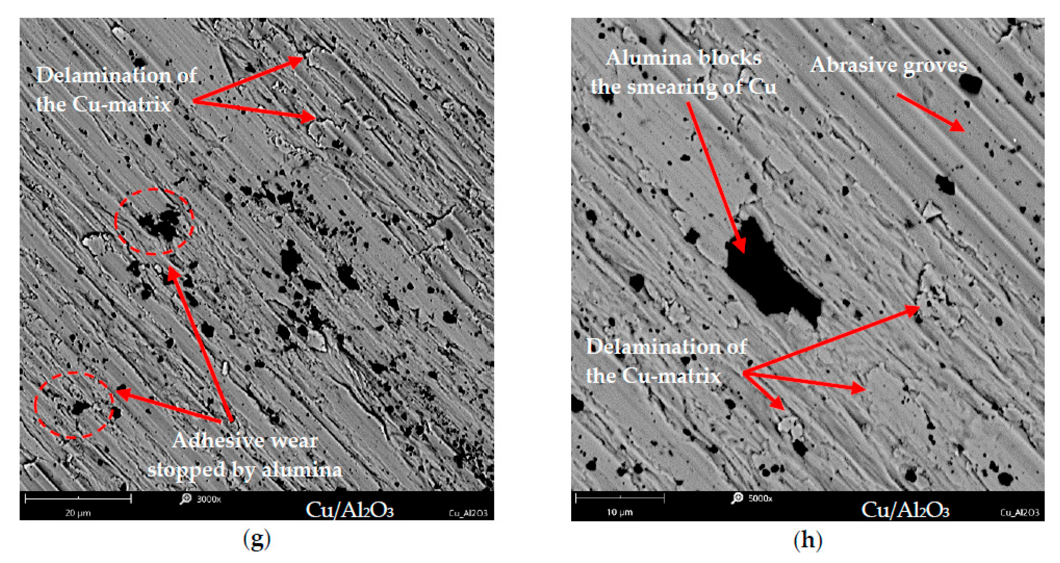 Metals 10 00856 g012b