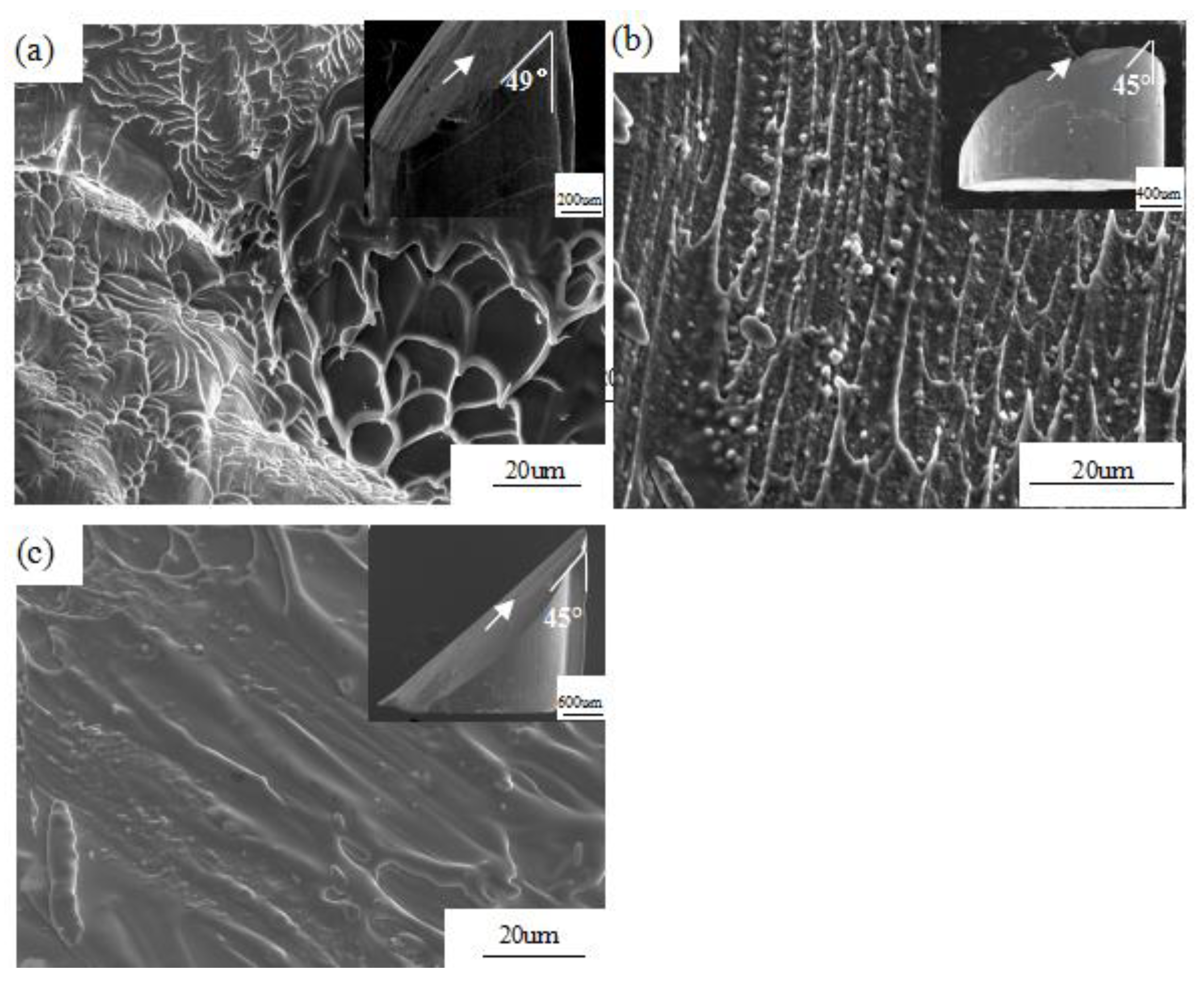 Metals 10 00857 g005