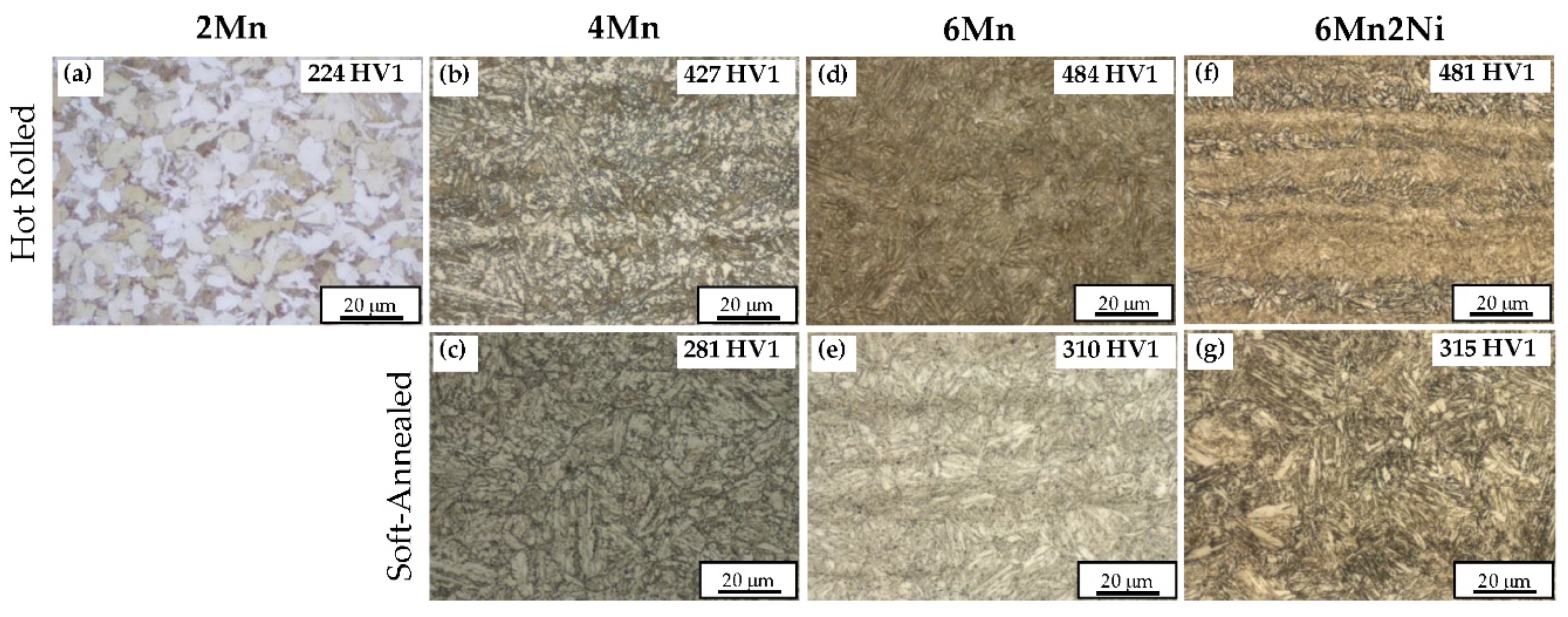 Metals 10 00862 g002