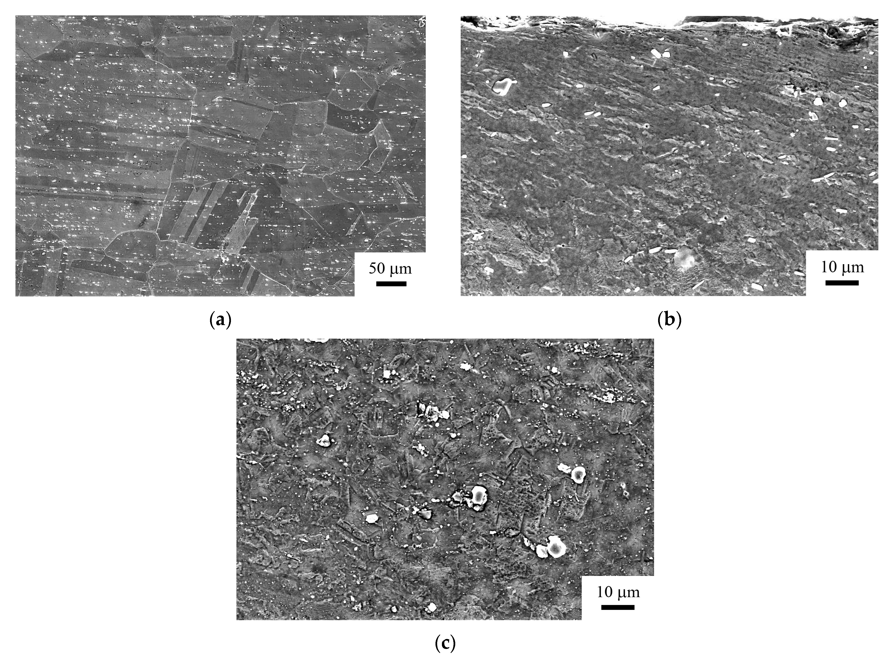 Metals 10 00879 g007