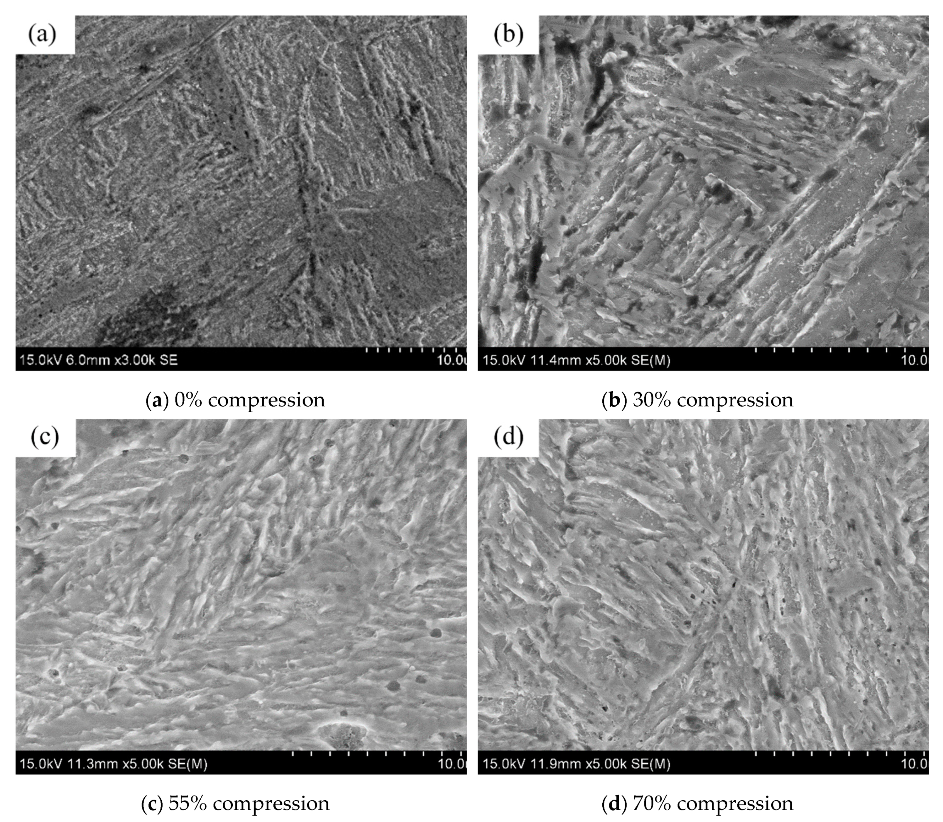 Metals 10 00887 g004