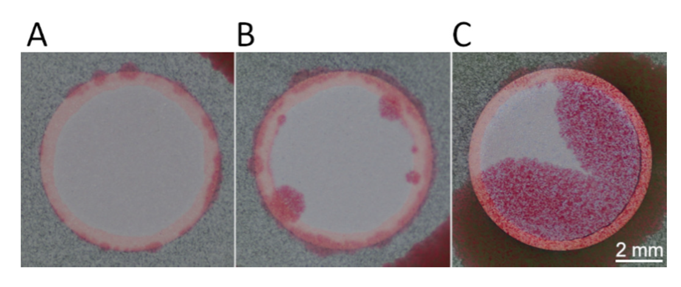 Metals 10 00888 g011