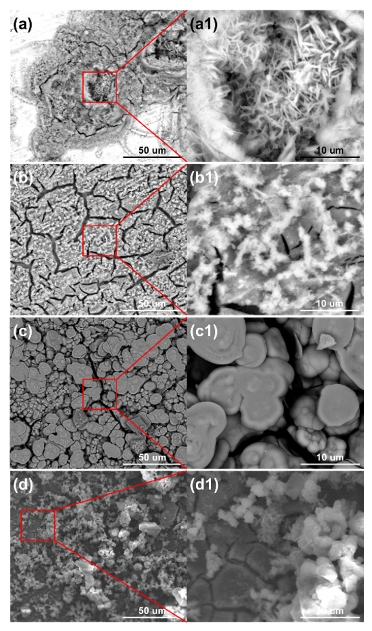Metals 10 00905 g013