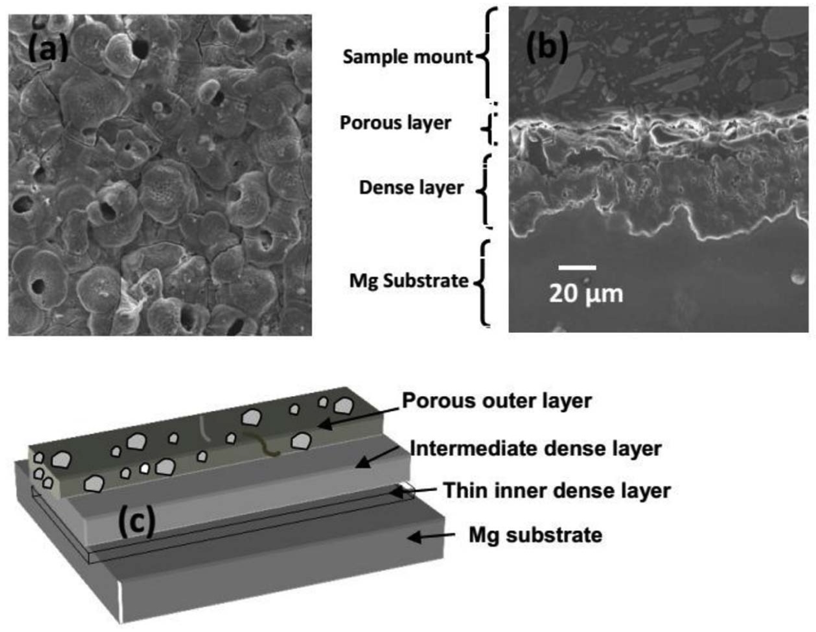Metals 10 00907 g003