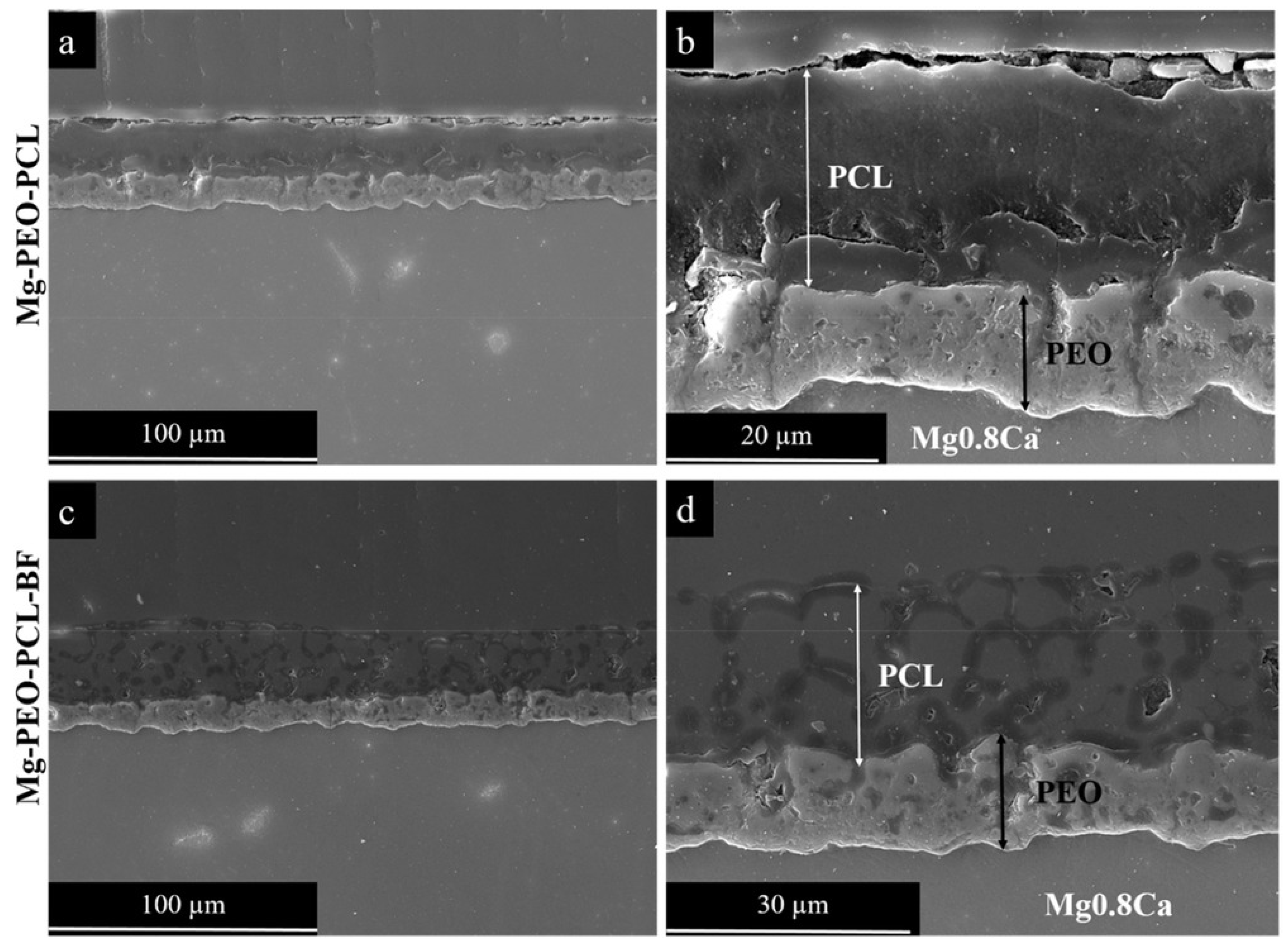 Metals 10 00907 g012