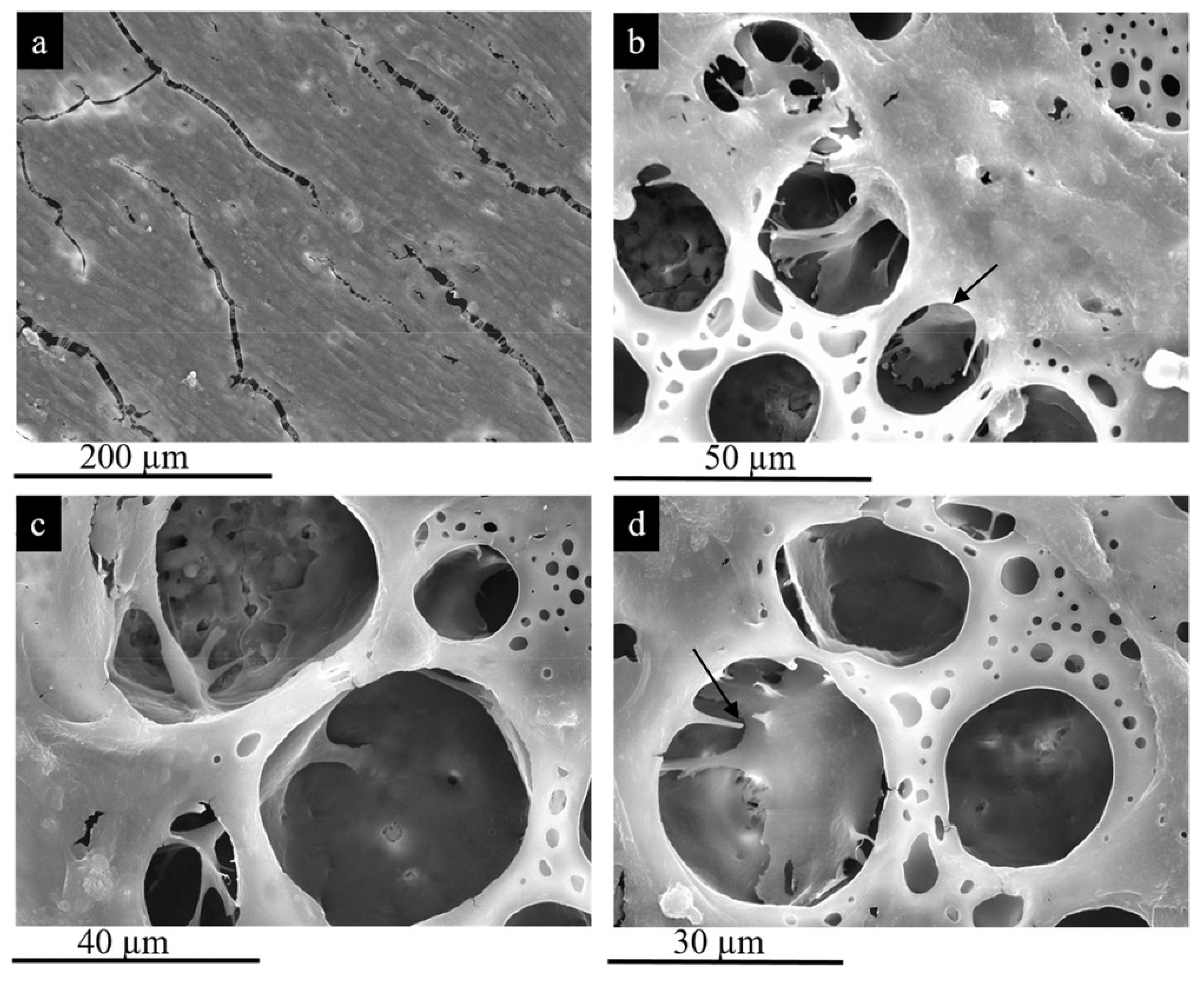 Metals 10 00907 g013