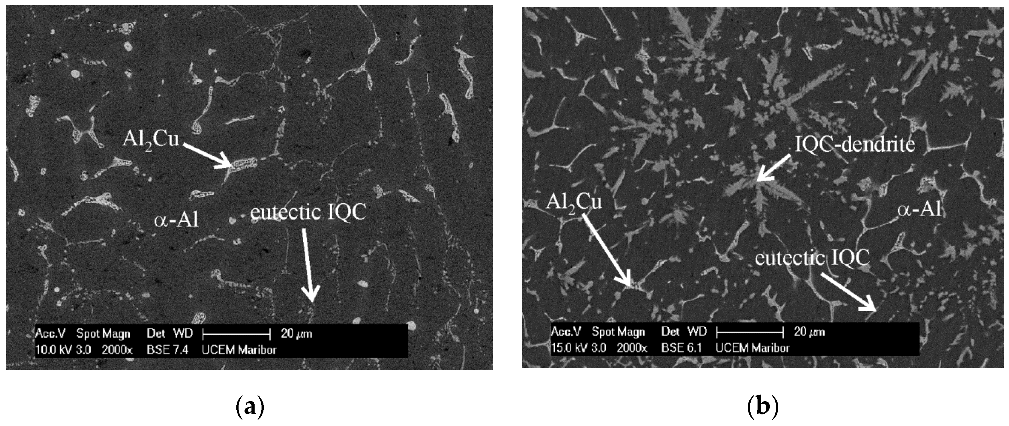 Metals 10 00937 g001