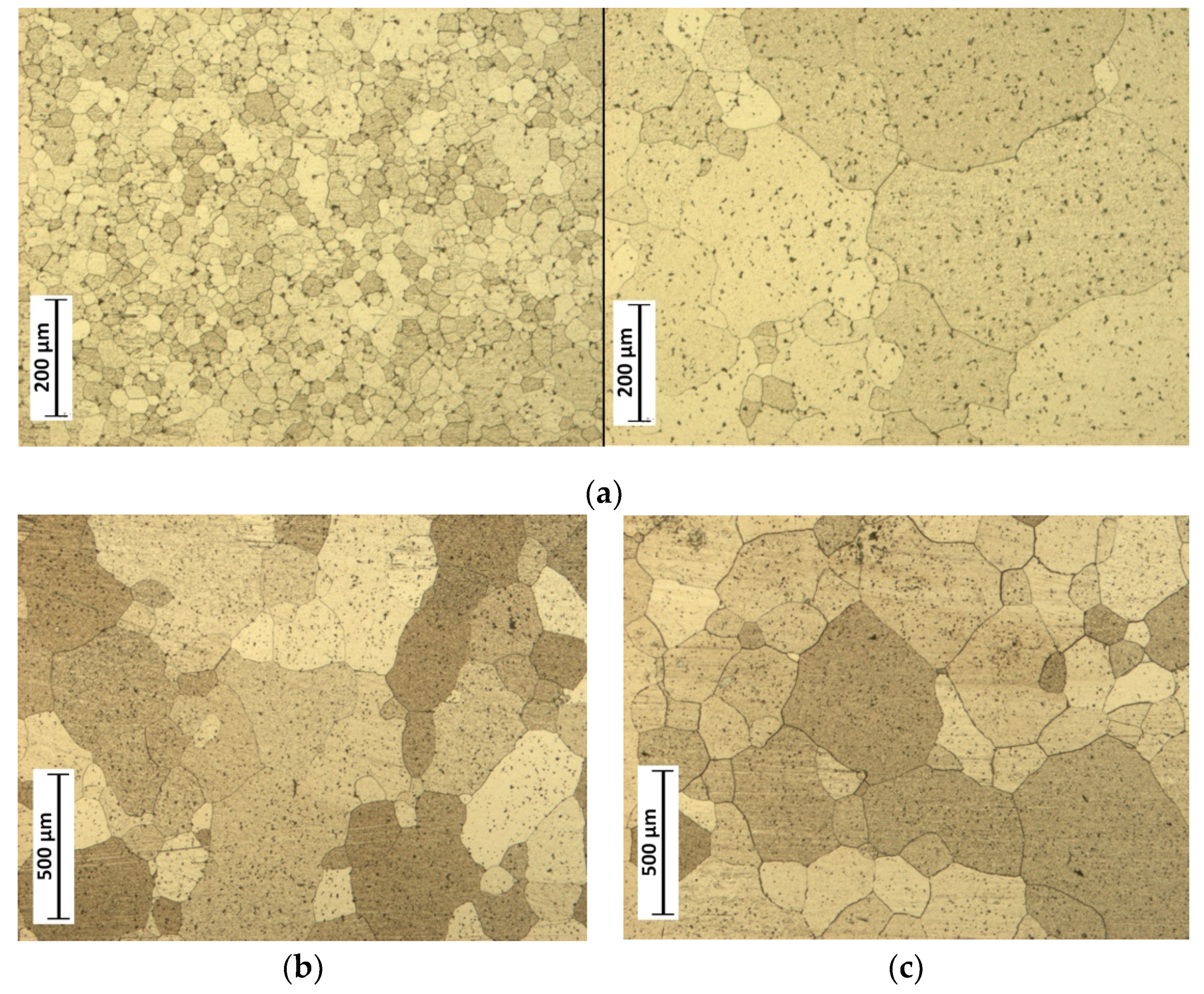 Metals 10 00948 g006