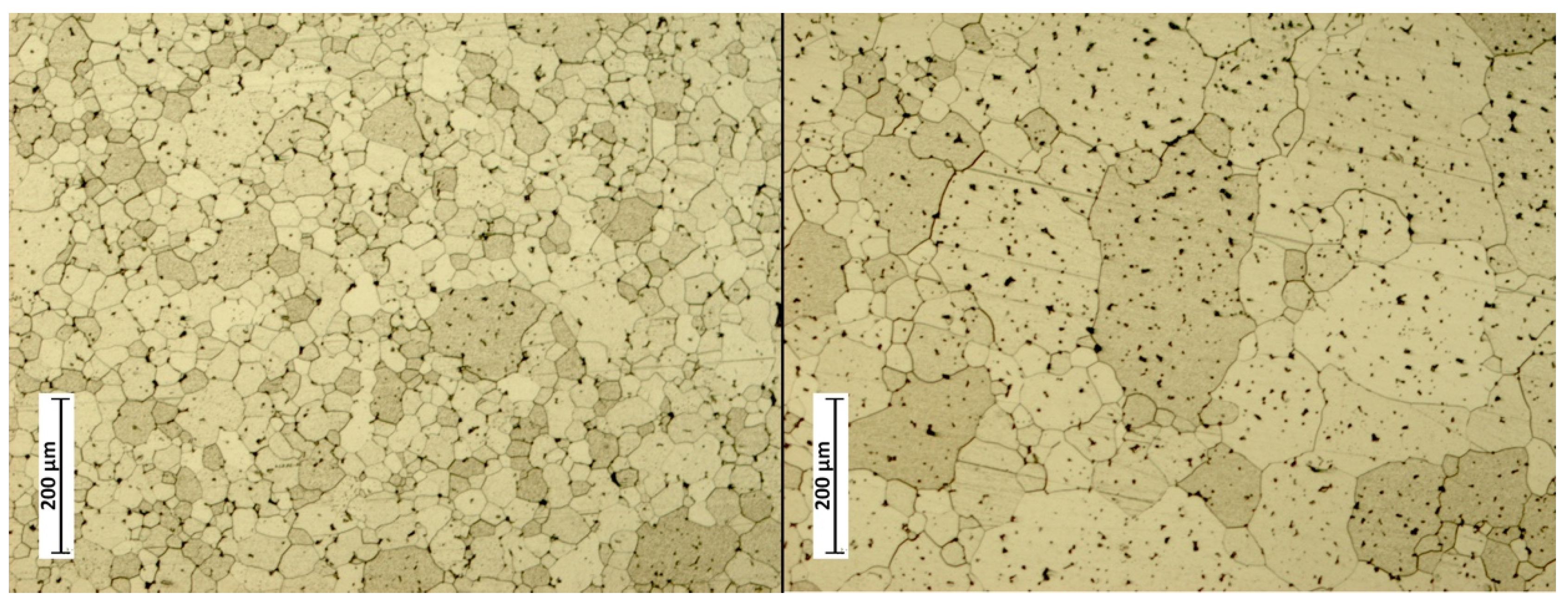 Metals 10 00948 g007