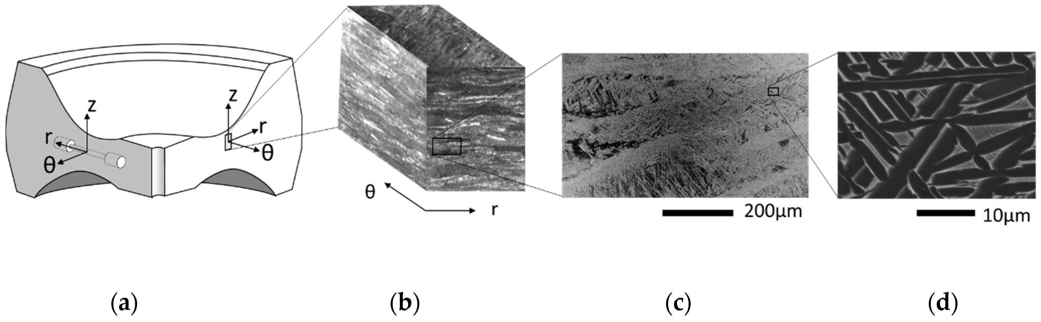 Metals 10 00951 g001