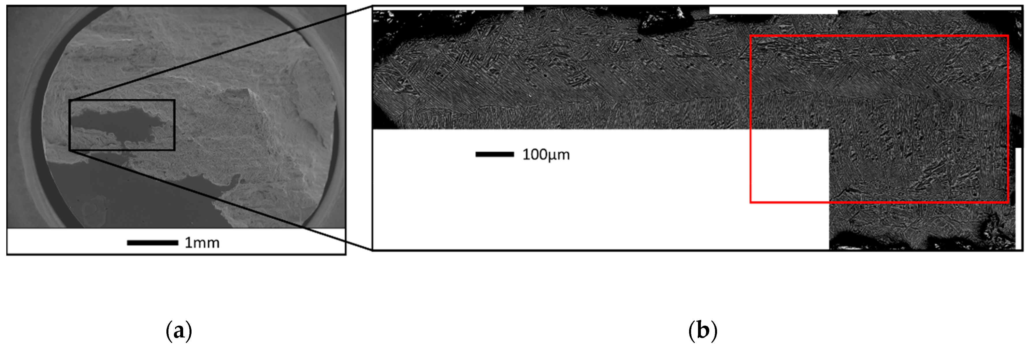 Metals 10 00951 g005