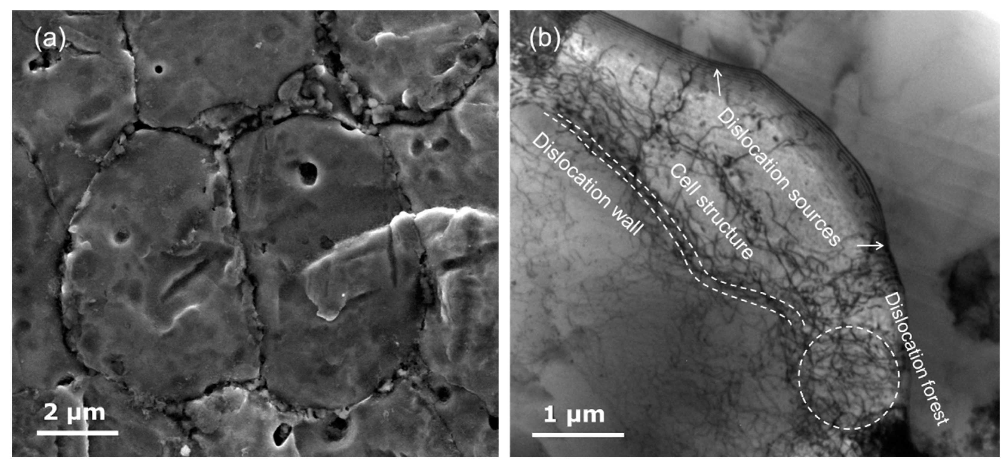 Metals 10 00971 g006